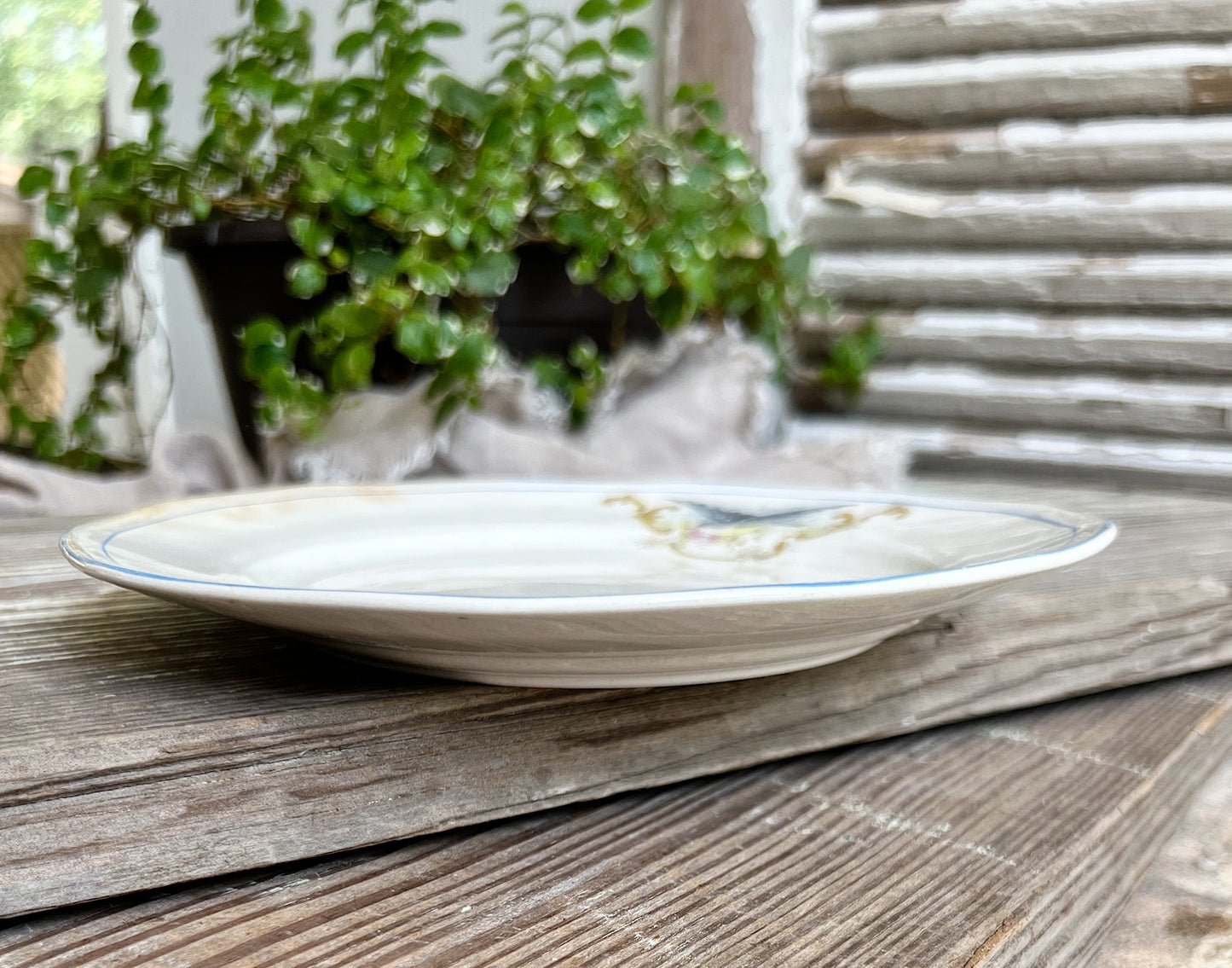 Antique BLUEBIRD Ironstone Plate