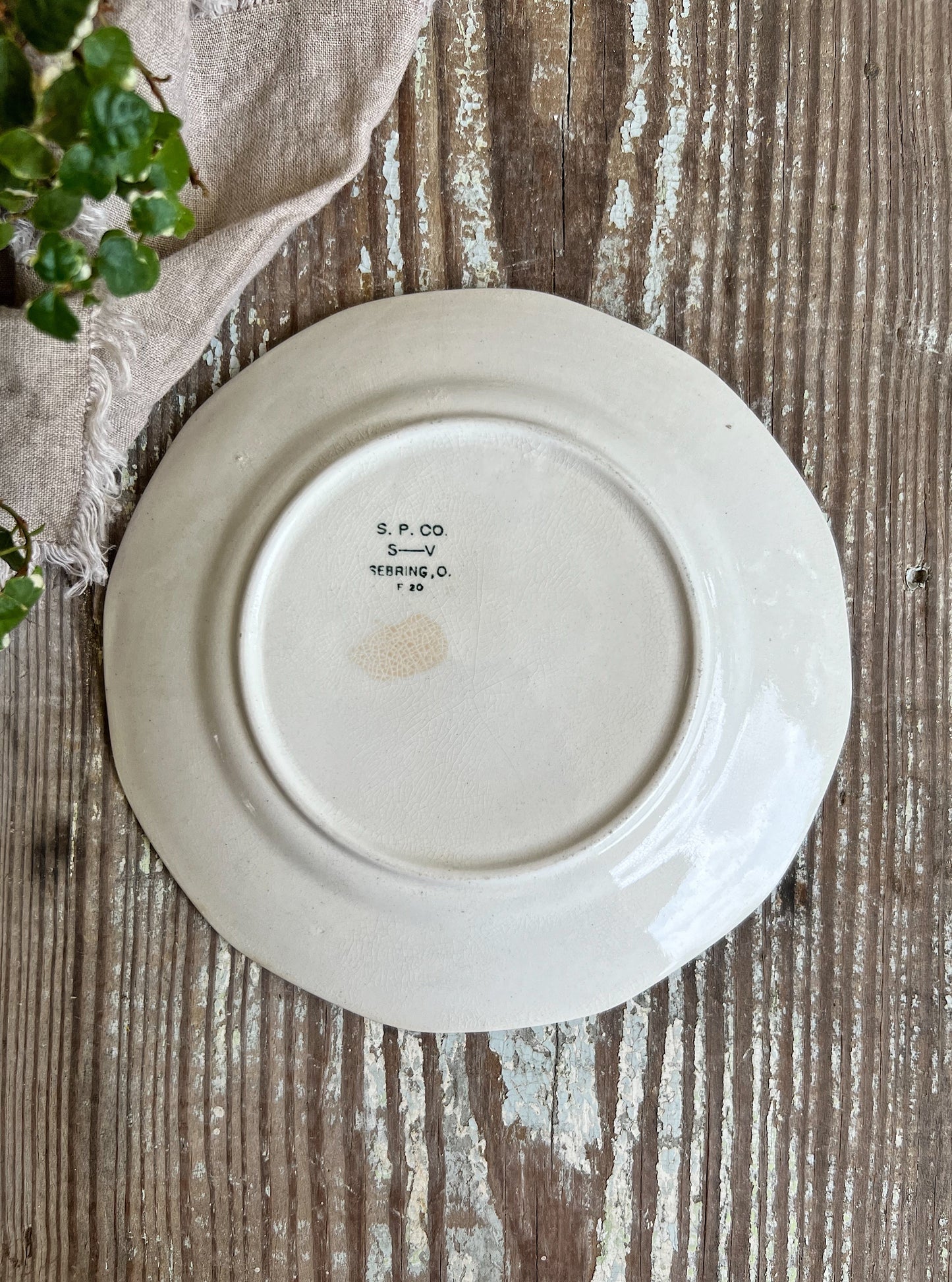 Antique BLUEBIRD Ironstone Plate