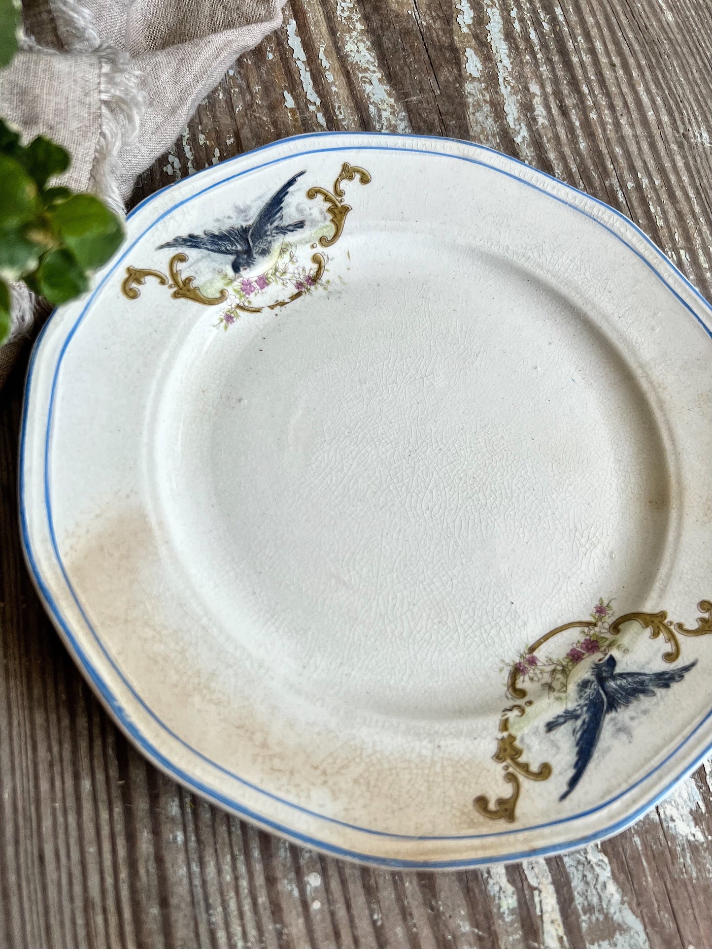 Antique BLUEBIRD Ironstone Plate