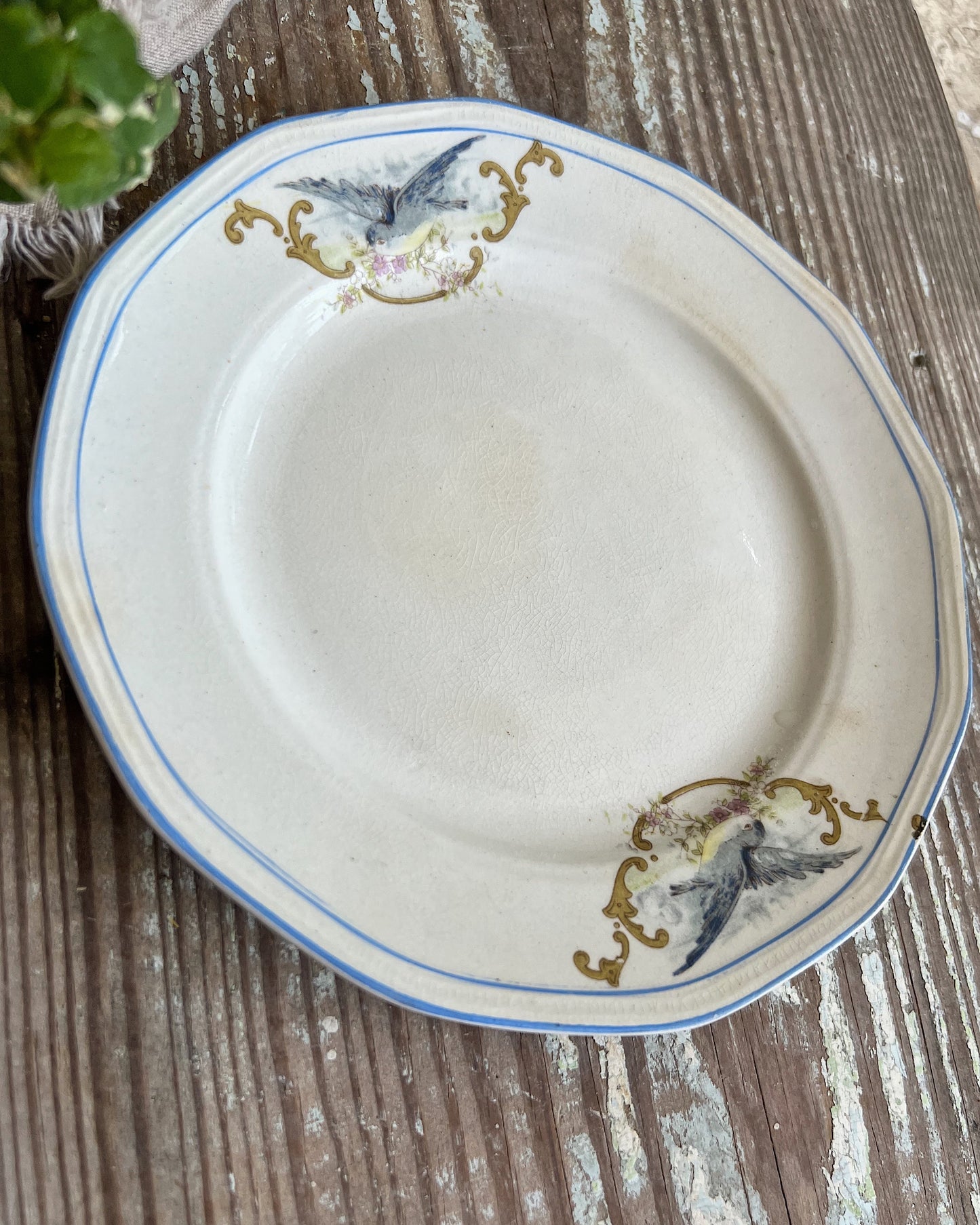 Antique BLUEBIRD Ironstone Plate