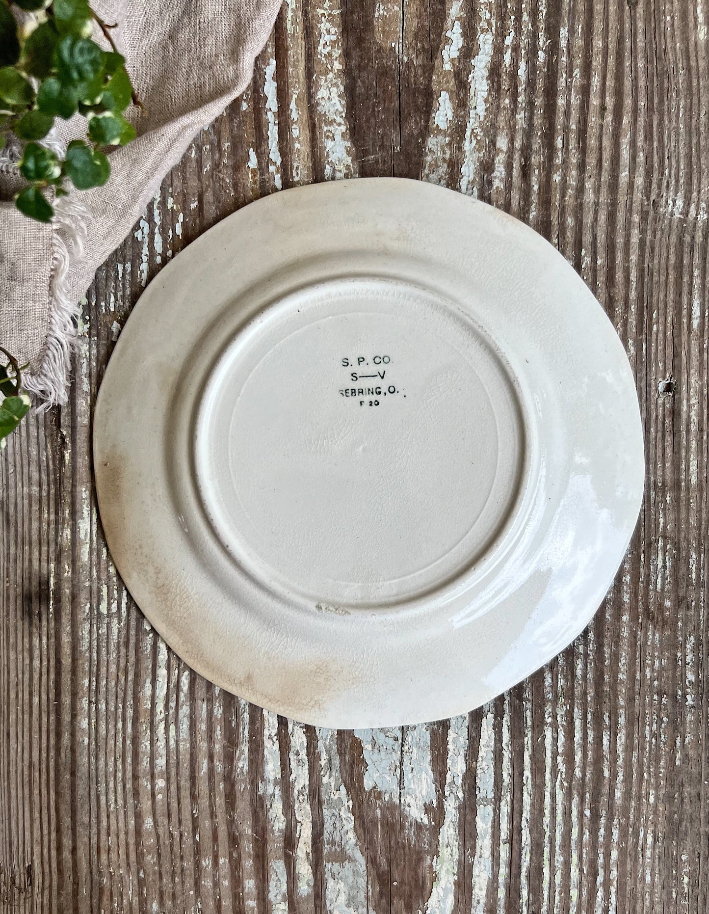 Antique BLUEBIRD Ironstone Plate