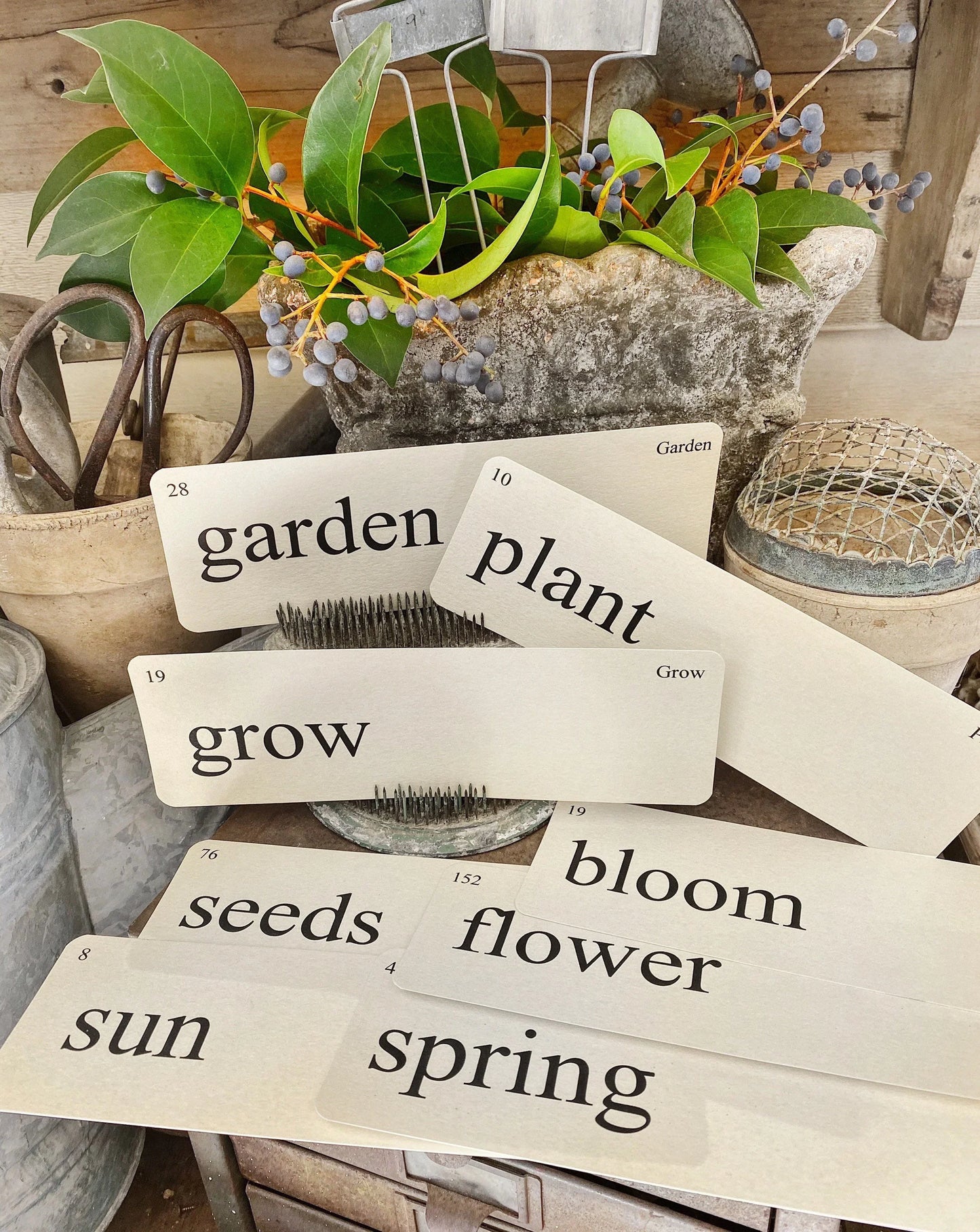 GARDEN Flash Cards