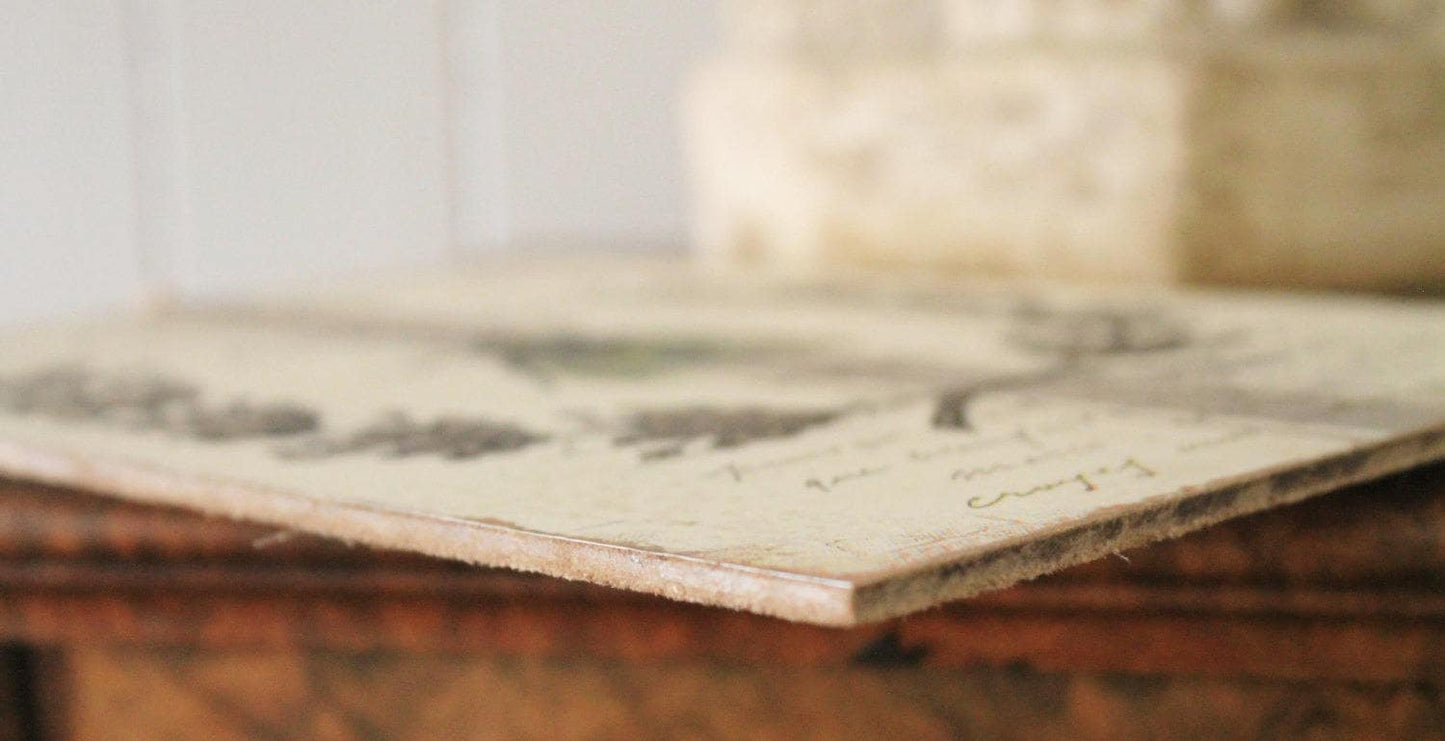 Vintage White MUSHROOM BOTANICAL Wall Art Sign Farmhouse Decor Page Print Fixer Upper Decor Natural History