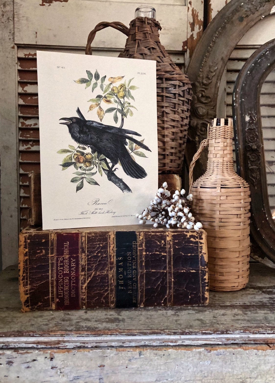 Vintage CROW on Branch Print Sign Wood Wall Art Sign Farmhouse Decor Page Print Raven Blackbird Natural Book History Fall Decor Halloween