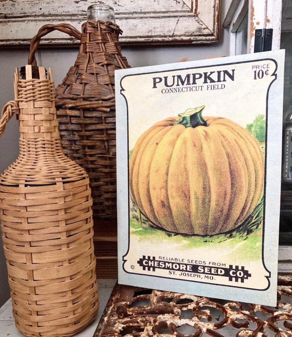 Vintage PUMPKIN SEED Print Sign Wood Wall Art Sign Farmhouse Decor Farm Fall Decor Haloween