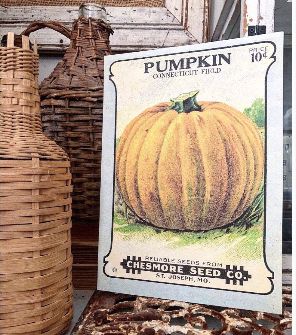 Vintage PUMPKIN SEED Print Sign Wood Wall Art Sign Farmhouse Decor Farm Fall Decor Haloween
