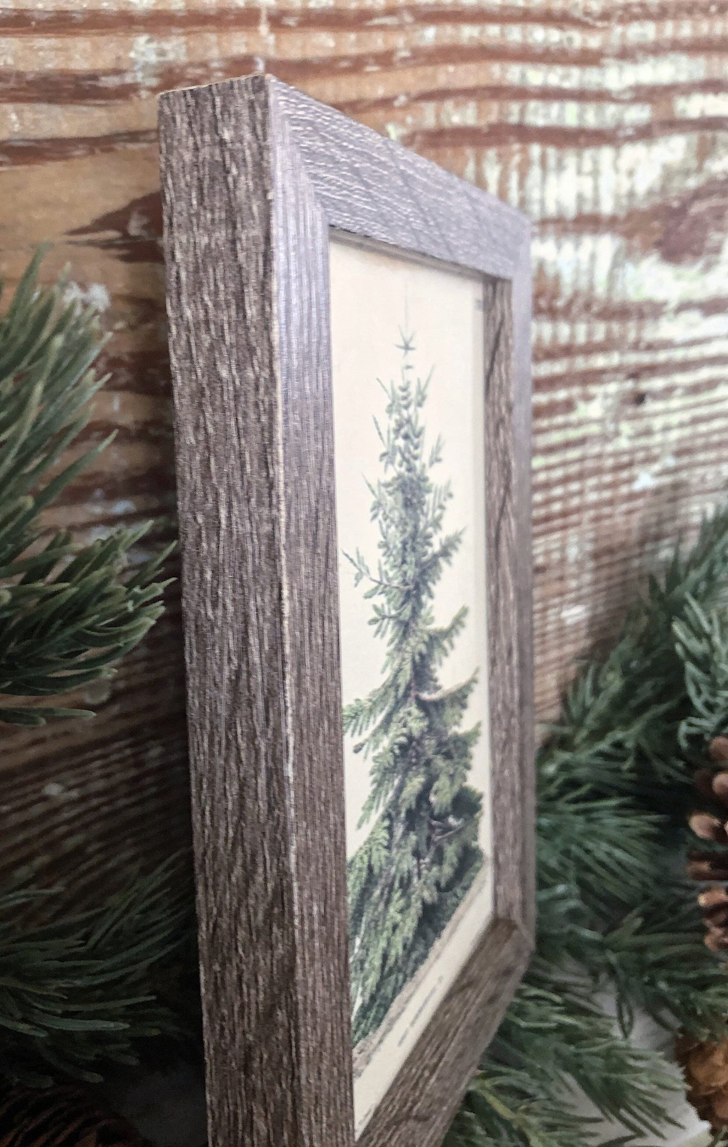 Vintage Christmas Tree Sign PINE TREE Frame Farmhouse Christmas Winter Decor Barn Wood Rustic Primitive Framed Sign Botanical Illustration
