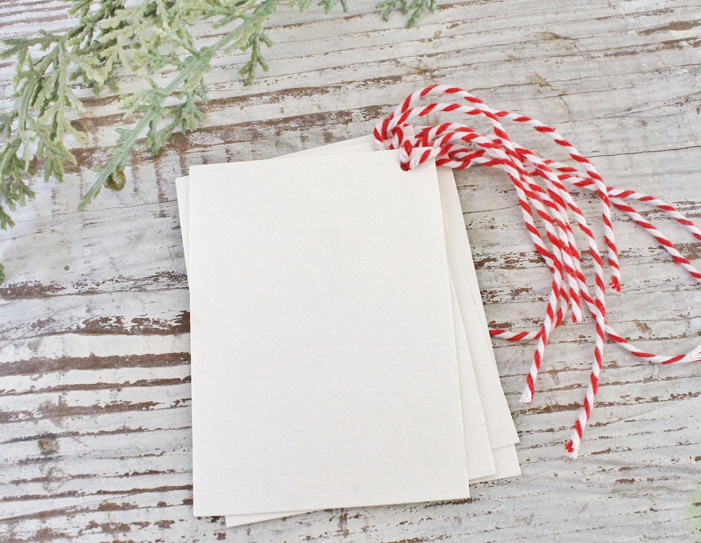Christmas Pine Tree GIFT TAGS Vintage Book Of Natural History Farmhouse Decor Wrap Fixer Upper Botanical Tree Primitive Christmas Winter