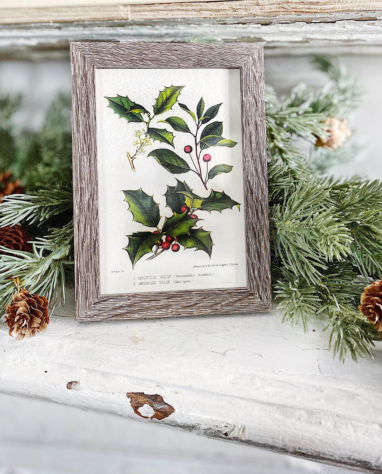 Vintage Christmas Sign HOLLY BOTANICAL Frame Farmhouse Christmas Decor Barn Wood Rustic Primitive Christmas Sign