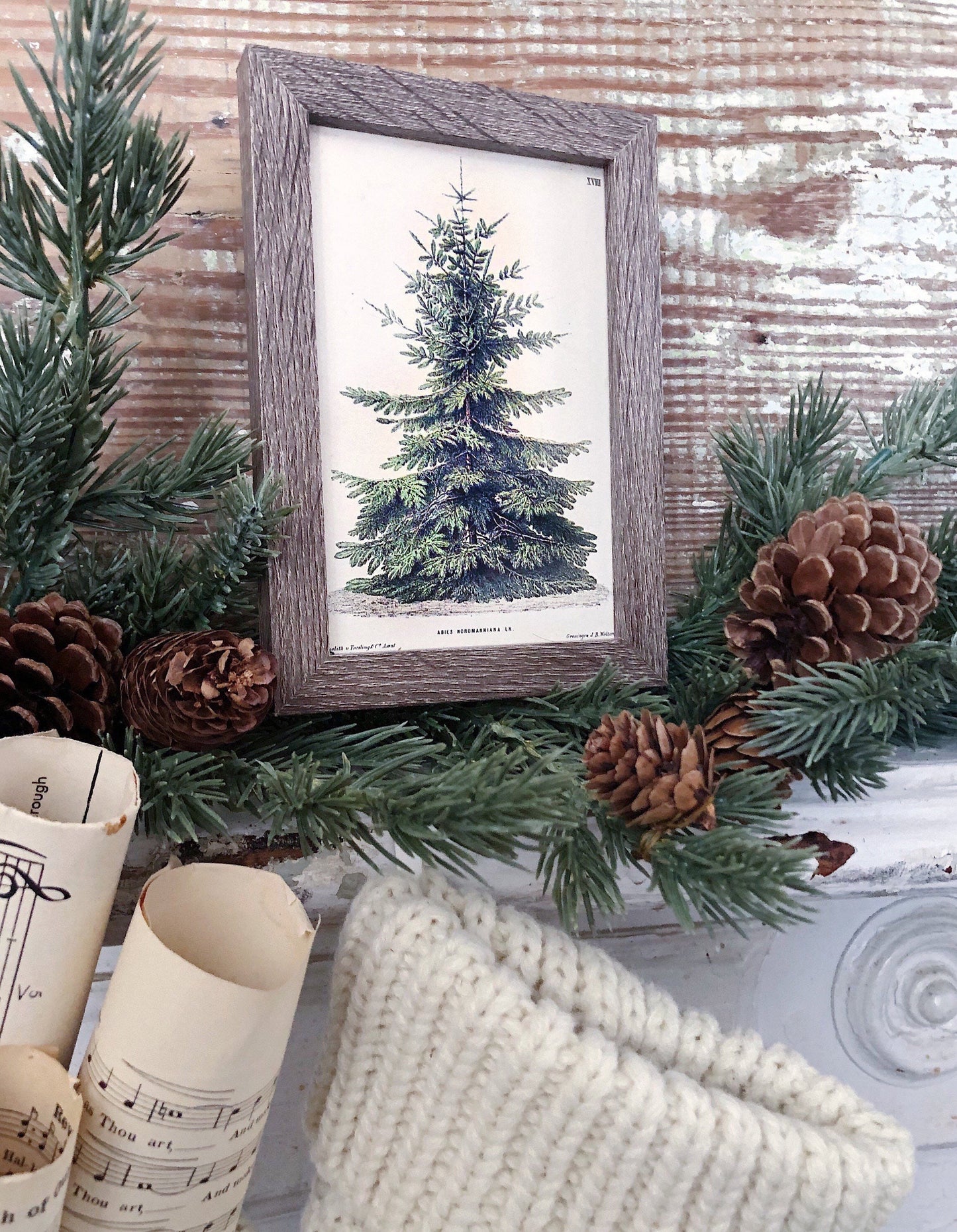 Vintage Christmas Tree Sign PINE TREE Frame Farmhouse Christmas Winter Decor Barn Wood Rustic Primitive Framed Sign Botanical Illustration