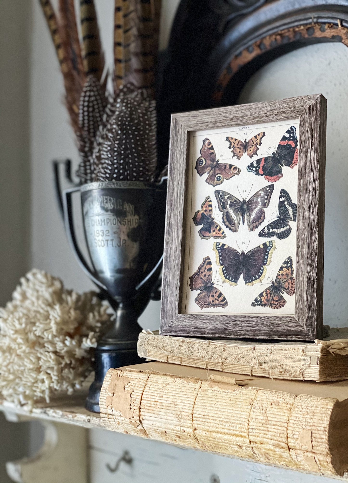 Vintage Botanical Print Moth Butterfly Wall Art Sign Wood Frame Sign Farmhouse Decor Natural History Book Page BLACK ORANGE BROWN Fall Decor
