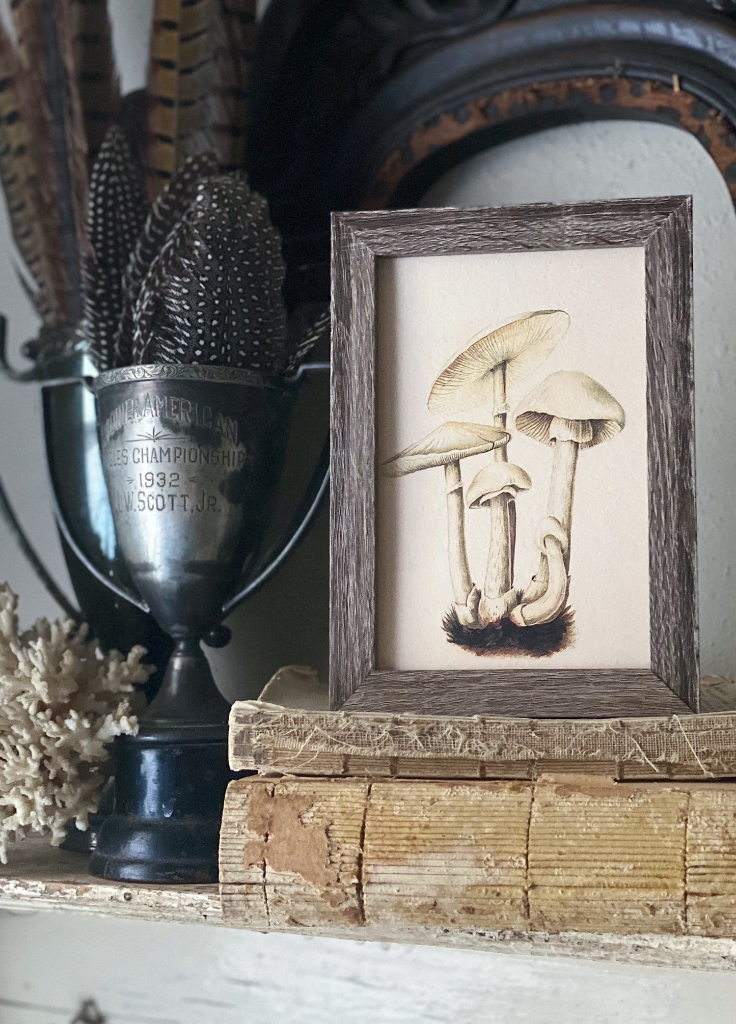 Vintage Botanical MUSHROOM Wall Art Sign Wood Frame Sign Farmhouse Decor Natural History Book Page