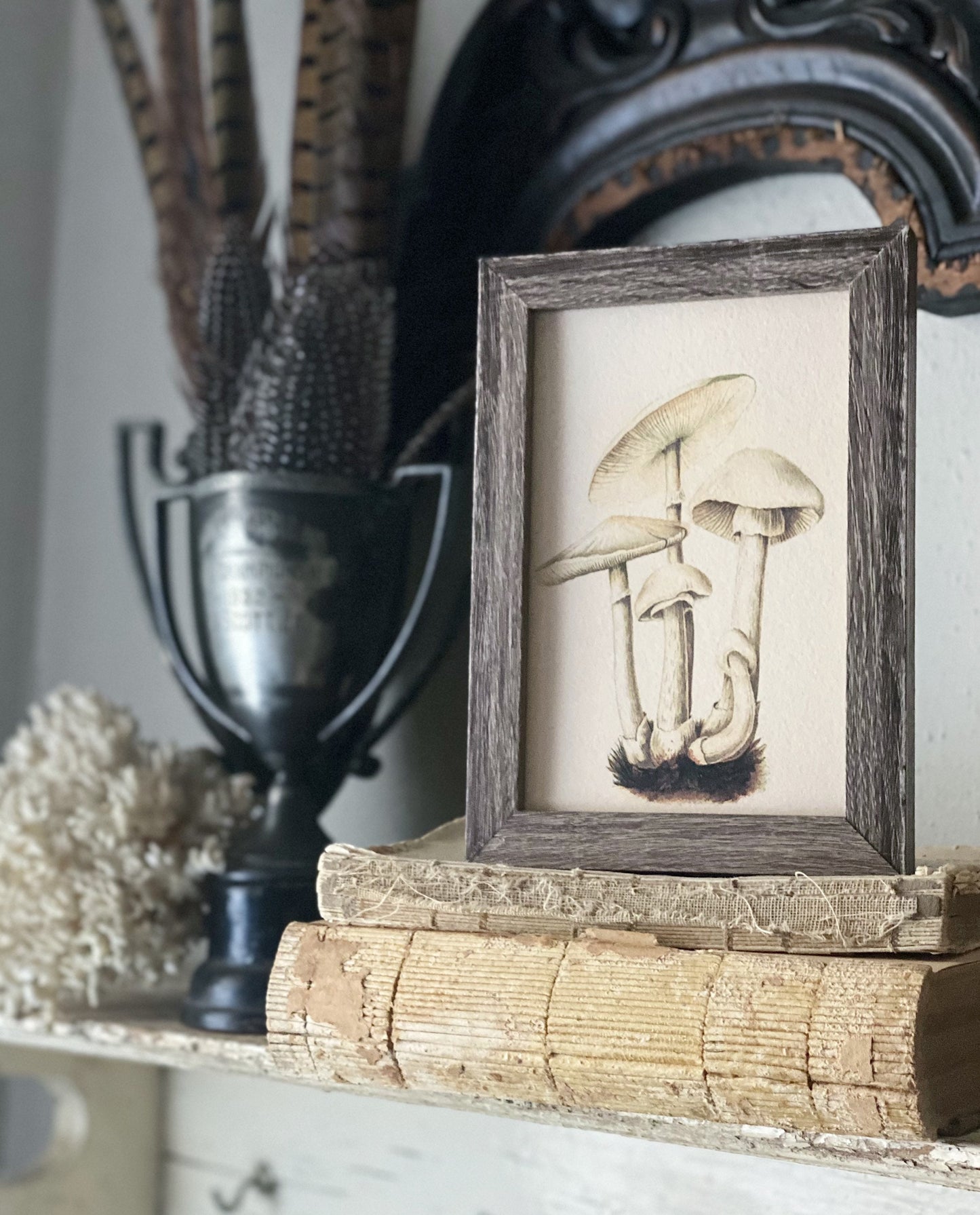 Vintage Botanical MUSHROOM Wall Art Sign Wood Frame Sign Farmhouse Decor Natural History Book Page