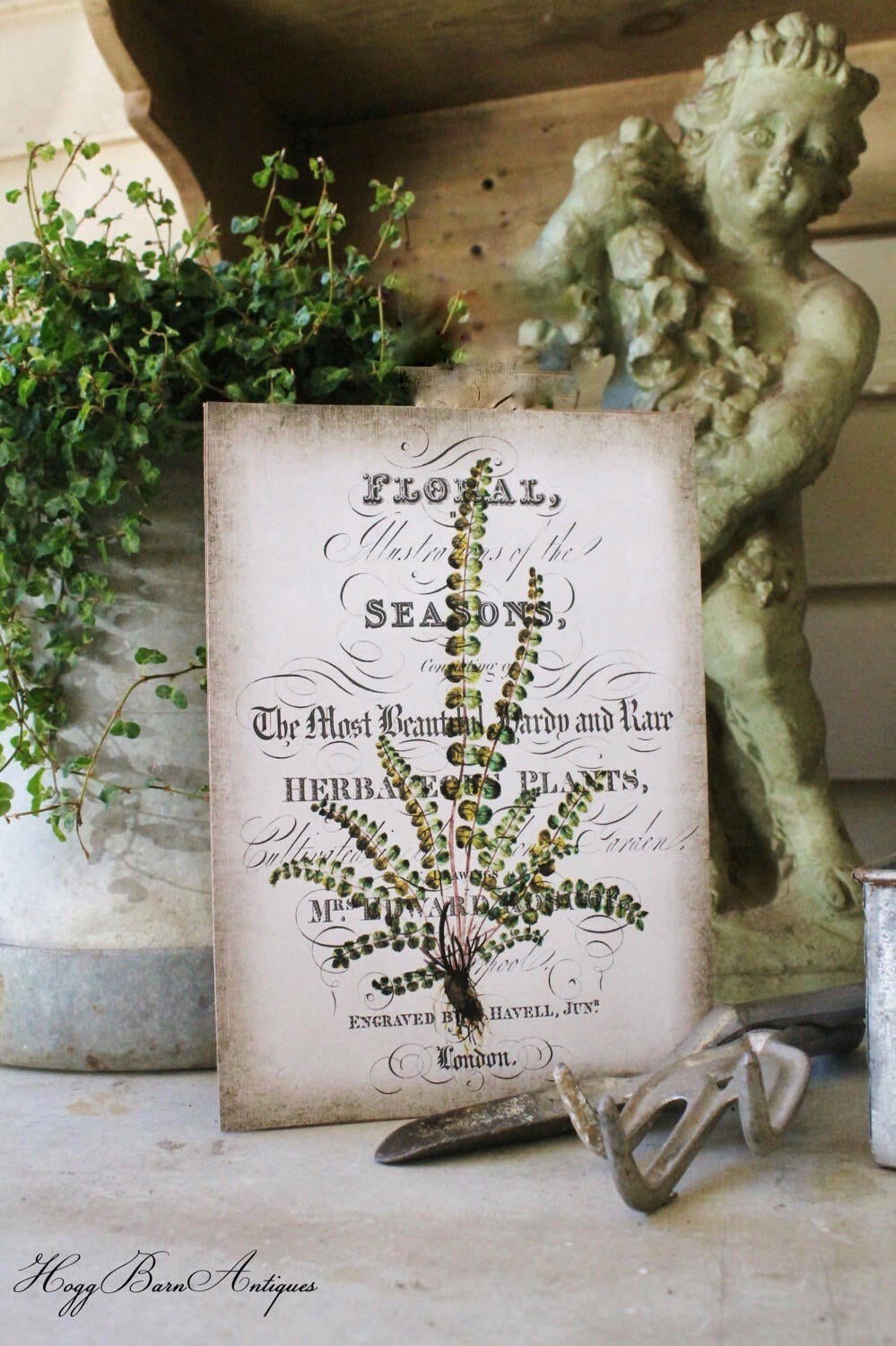 Vintage FERN Botanical Wood Sign Natural History Book Page Wall Art Print Farmhouse Decor Naturalist Spring Garden Easter