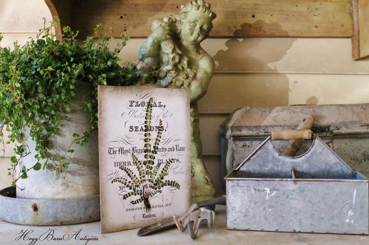 Vintage FERN Botanical Wood Sign Natural History Book Page Wall Art Print Farmhouse Decor Naturalist Spring Garden Easter