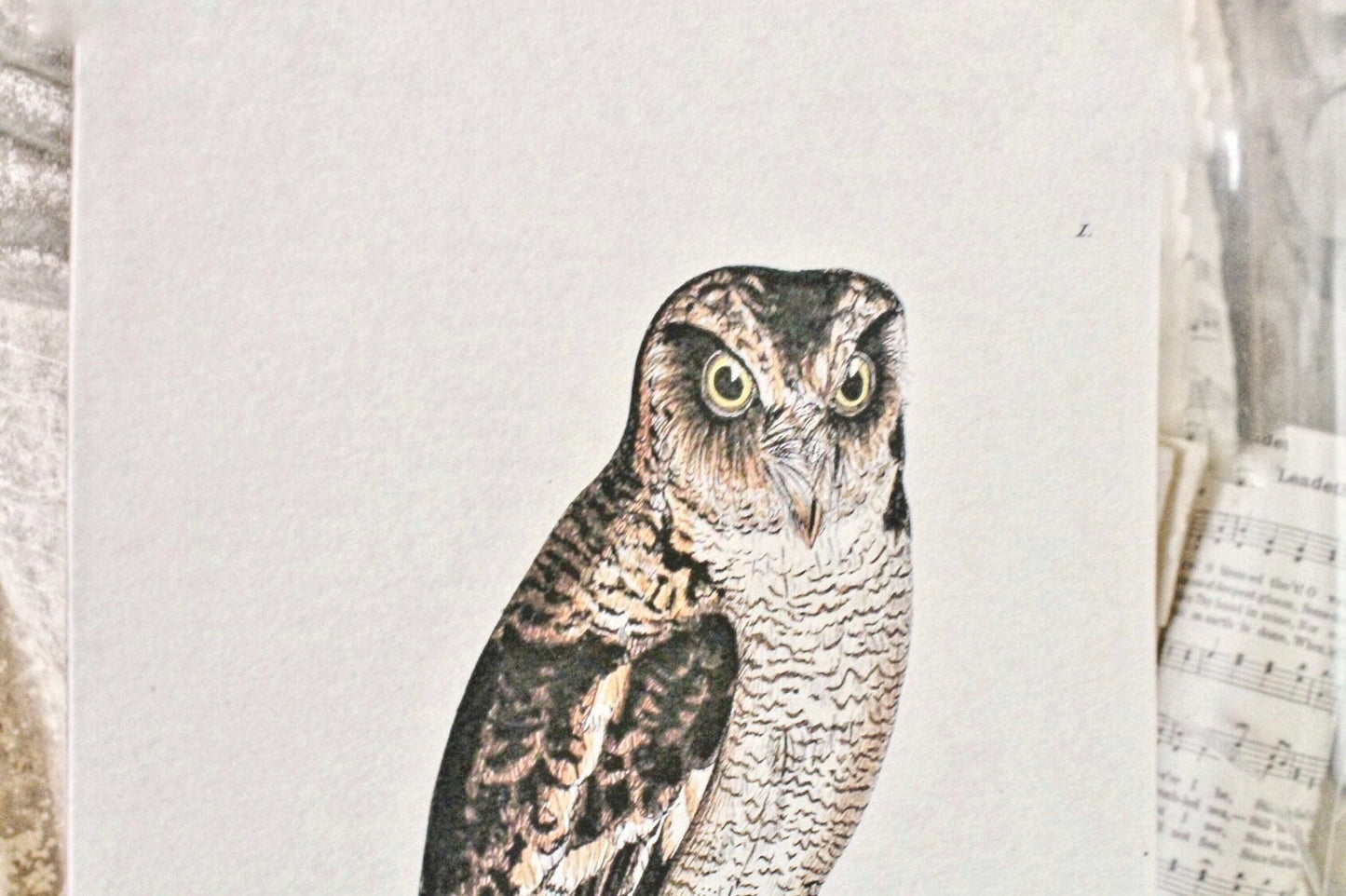 Vintage OWL Print Sign Wood Wall Art Sign Farmhouse Decor Page Print Fixer Upper Natural Bird History Fall Decor Halloween Decor
