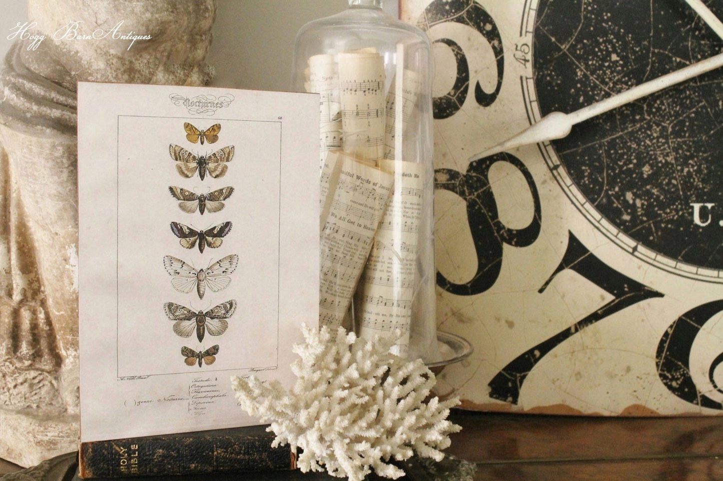 Vintage Botanical Print Moth Wall Art Sign Wood Sign Farmhouse Decor Natural History Book Page Fixer Upper Decor