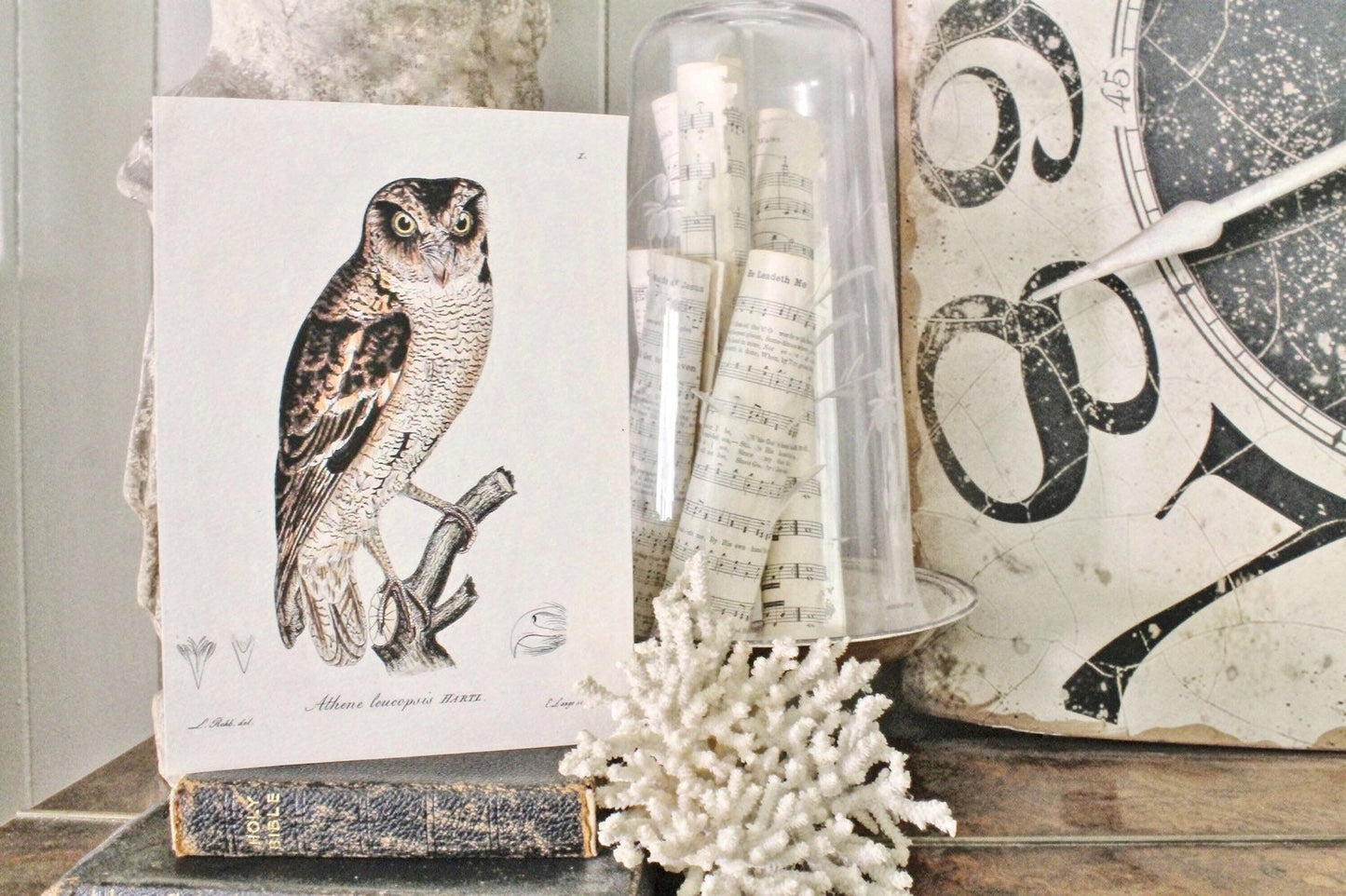 Vintage OWL Print Sign Wood Wall Art Sign Farmhouse Decor Page Print Fixer Upper Natural Bird History Fall Decor Halloween Decor