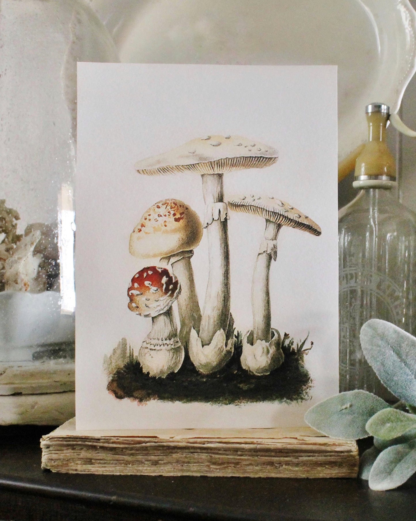 Vintage MUSHROOM Wood Sign Print Farmhouse Decor Page Wall Art Print Fixer Upper Decor Natural History SPRING SUMMER Botanical Easter