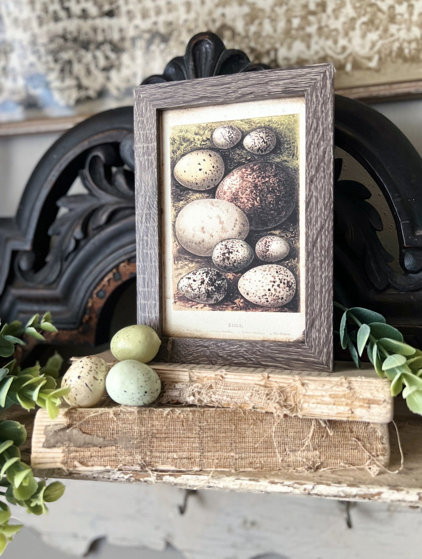 EGGS Framed Sign Post Card French Farmhouse Decor Barn Wood Easter Botanical