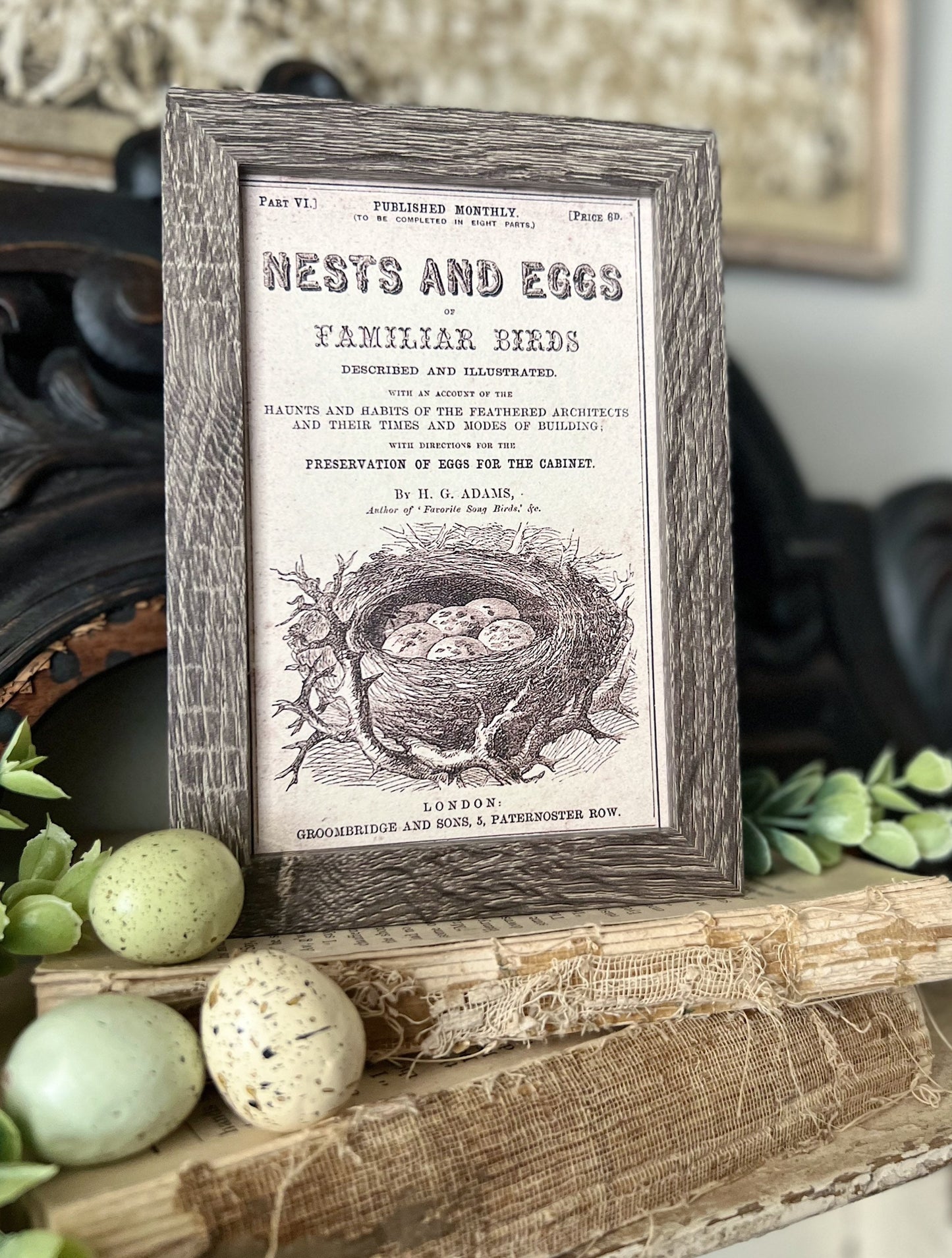 NESTS AND EGGS Framed Sign Post Card French Farmhouse Decor Barn Wood Easter Botanical