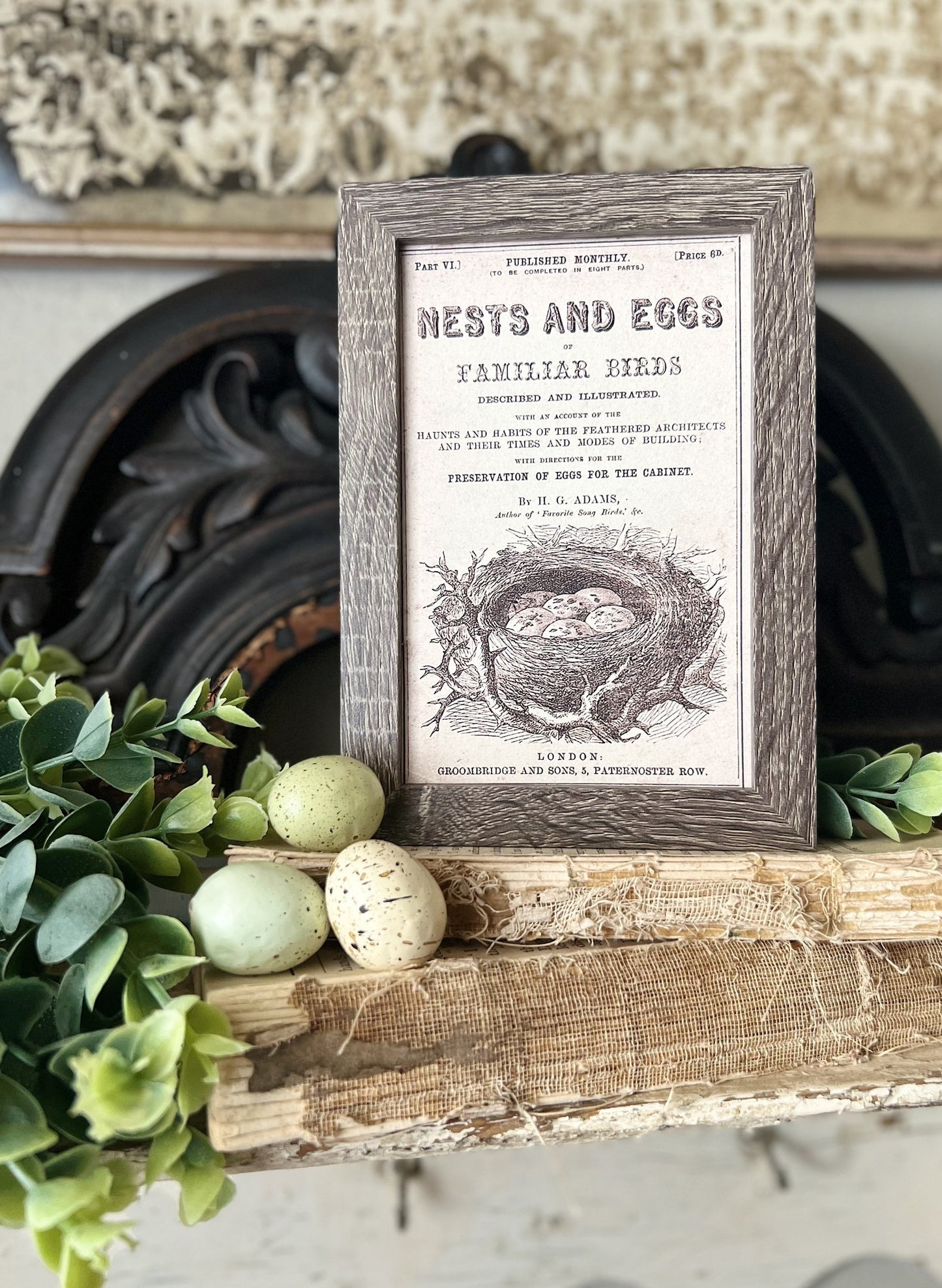 NESTS AND EGGS Framed Sign Post Card French Farmhouse Decor Barn Wood Easter Botanical