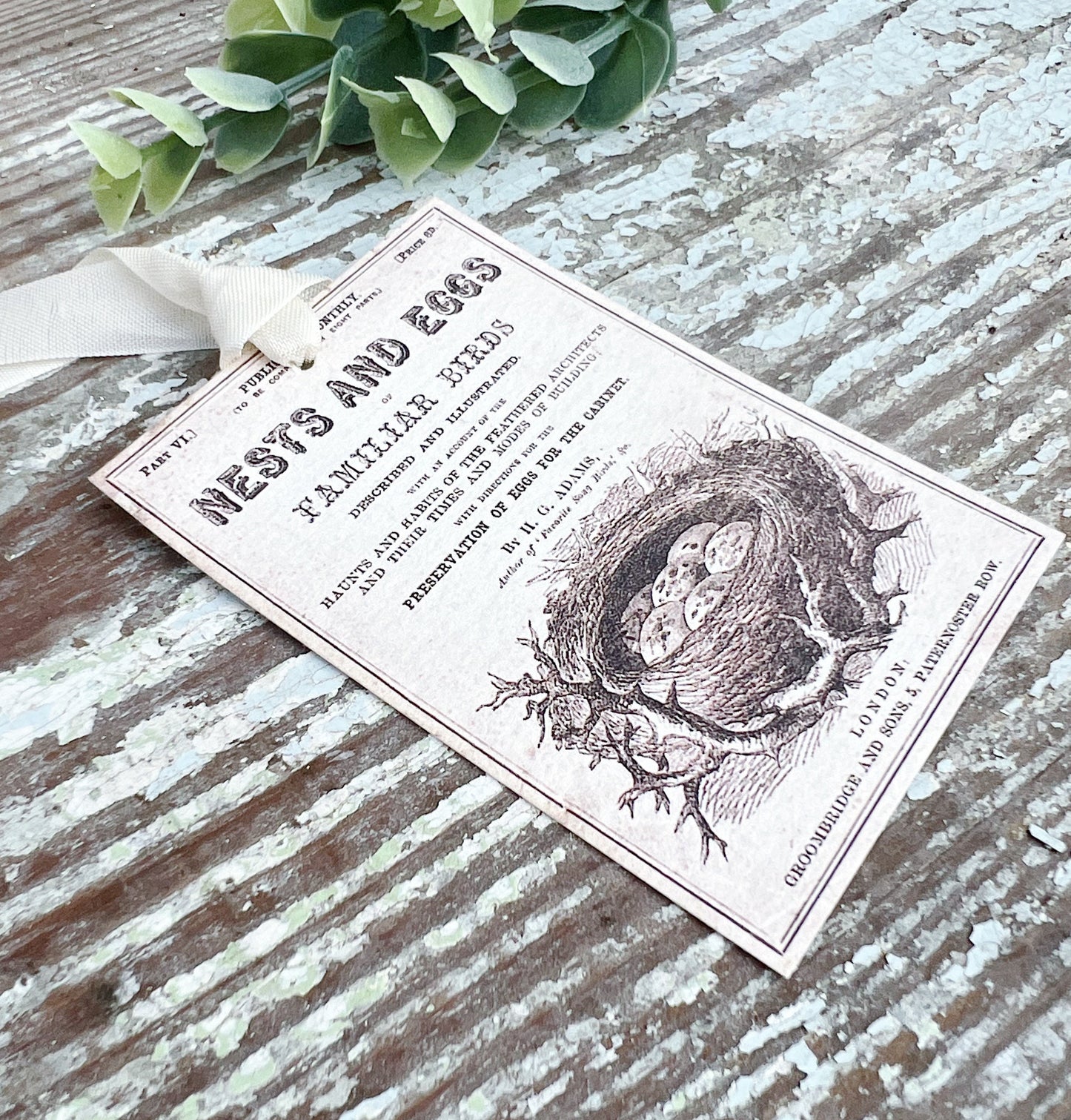 Nests and Eggs Vintage Easter Gift Tags Natural History Book Page French Farmhouse Decor Card Shabby SET OF 8