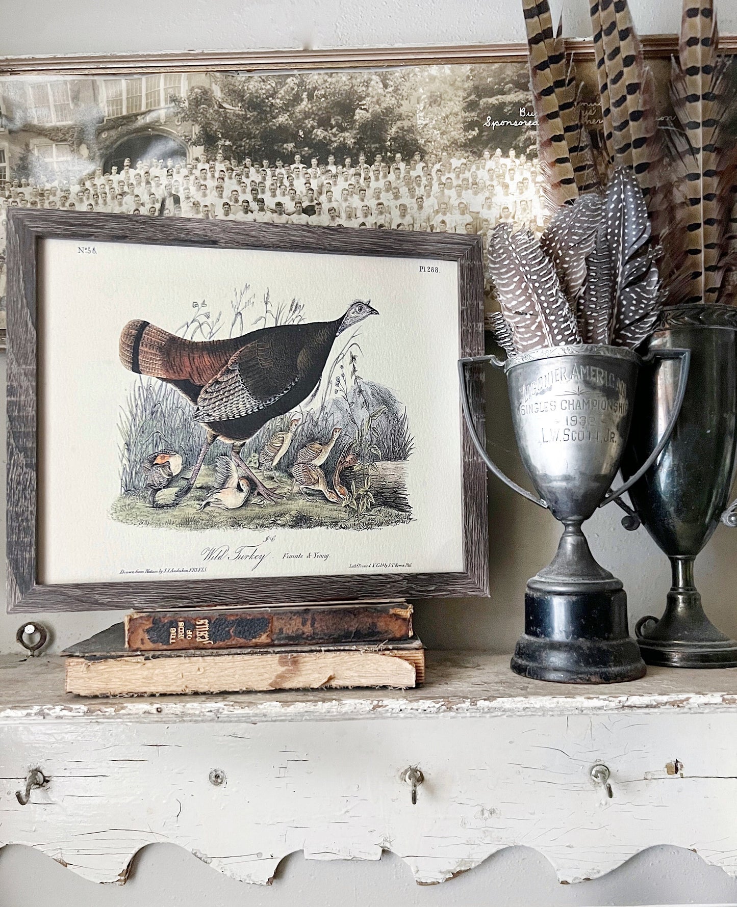 WILD TURKEY FEMALE Vintage Book Page Sign Wood Frame Primitive Fall Decor Thanksgiving