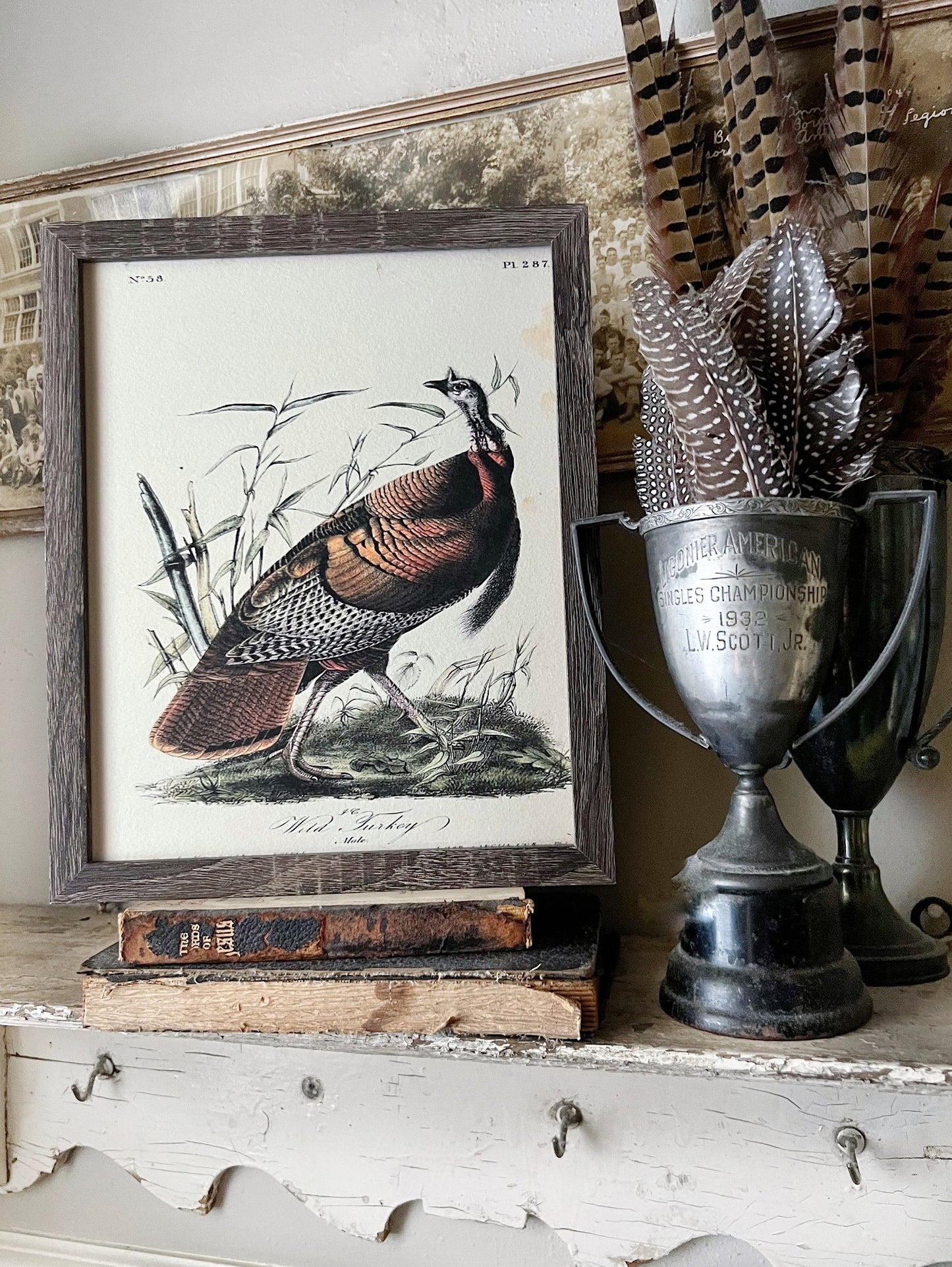 WILD TURKEY MALE Vintage Book Page Sign Wood Frame Primitive Fall Decor Thanksgiving