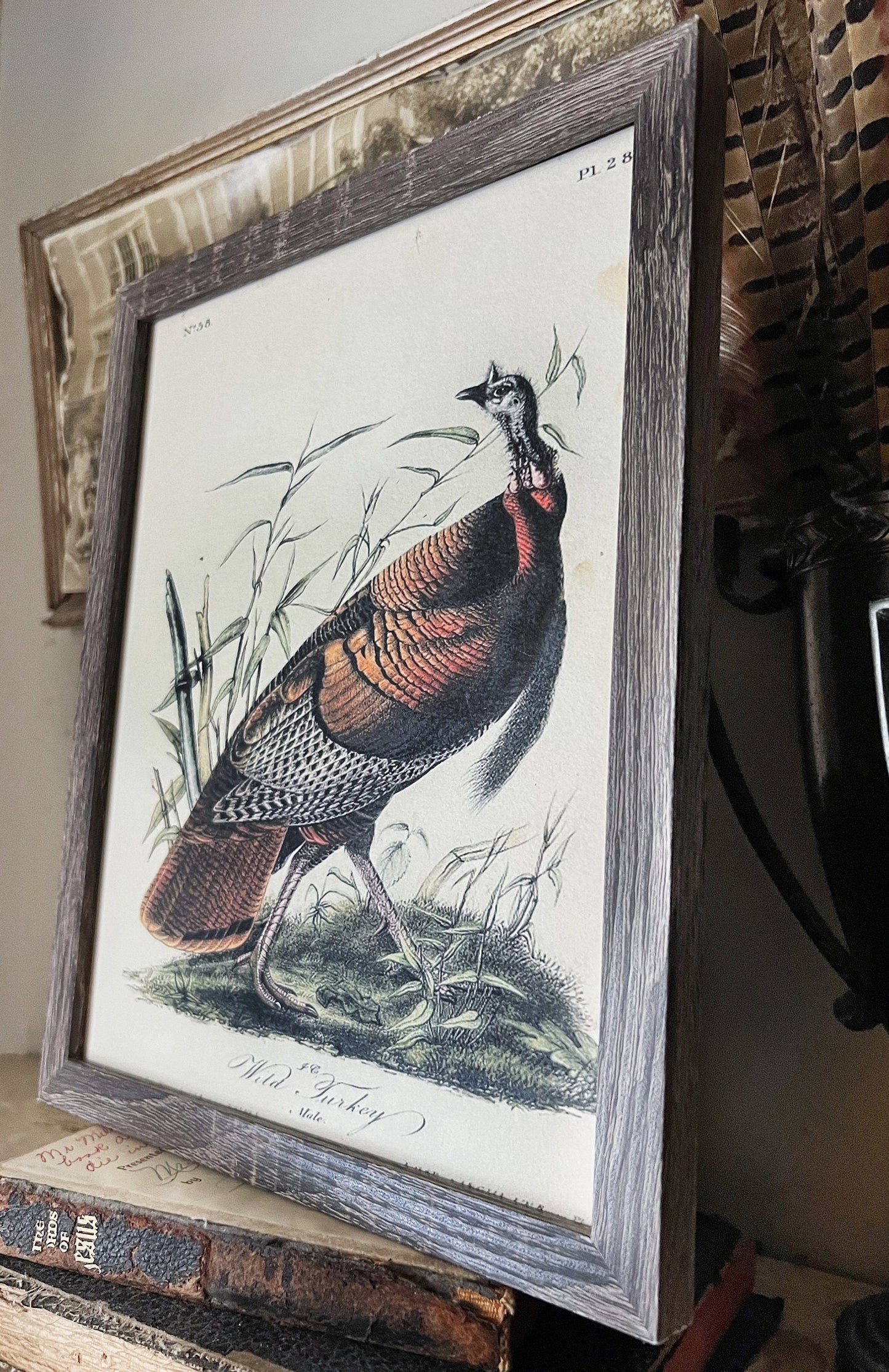 WILD TURKEY MALE Vintage Book Page Sign Wood Frame Primitive Fall Decor Thanksgiving