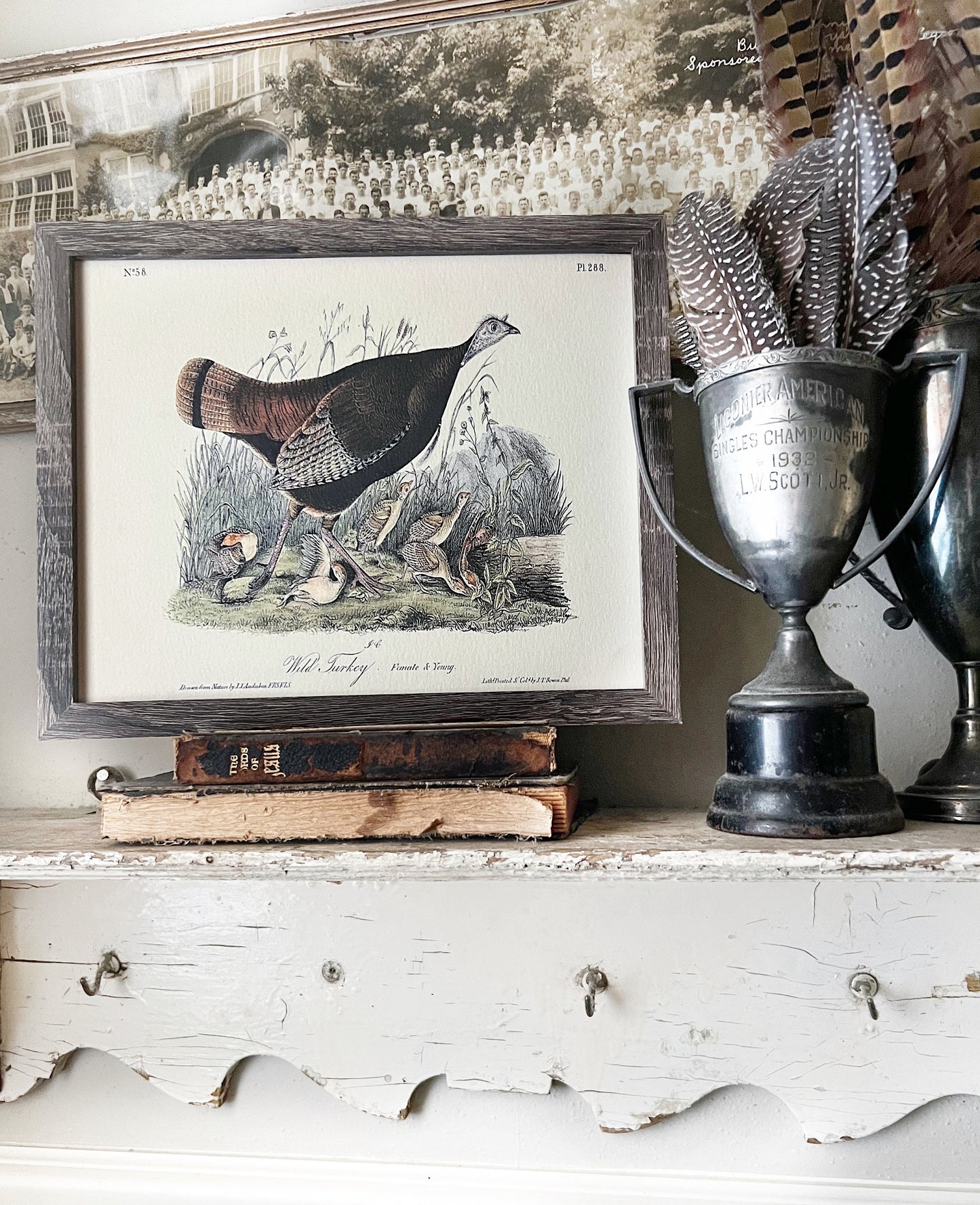 WILD TURKEY FEMALE Vintage Book Page Sign Wood Frame Primitive Fall Decor Thanksgiving