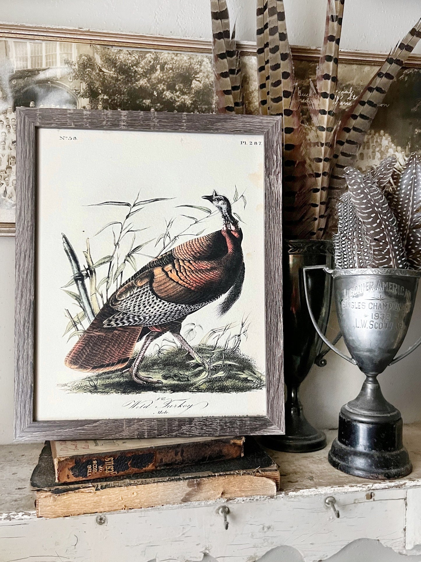WILD TURKEY MALE Vintage Book Page Sign Wood Frame Primitive Fall Decor Thanksgiving