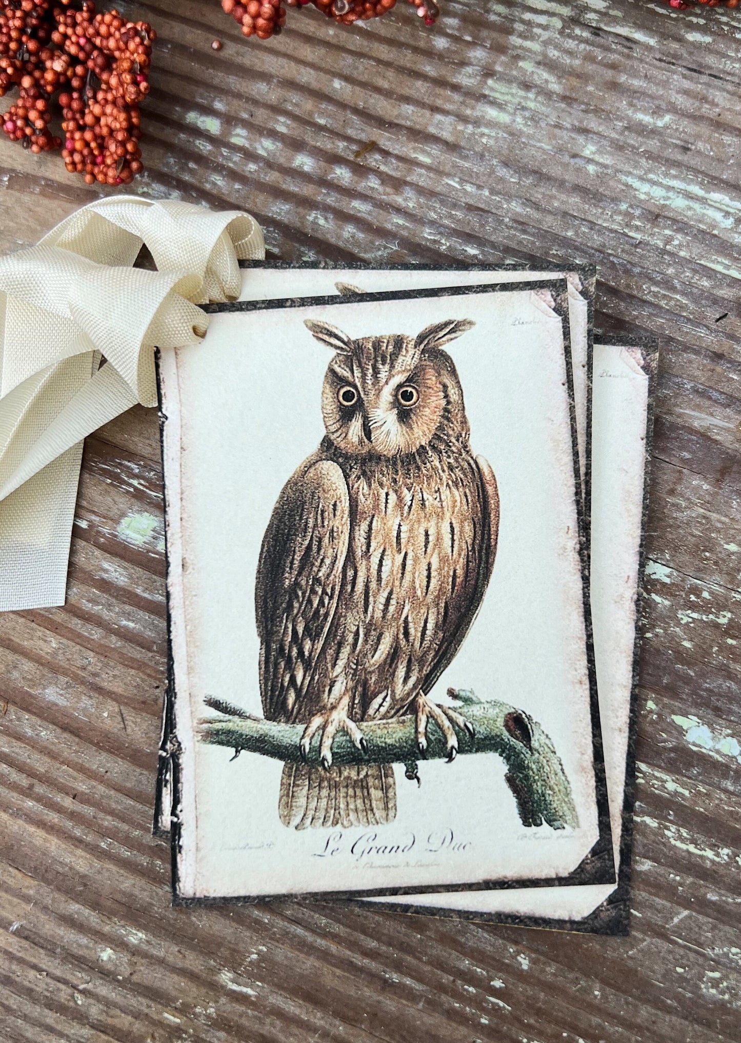 Halloween FALL BROWN OWL Gift Tags Vintage Farmhouse Decor Grungy Party Favor Card Tag