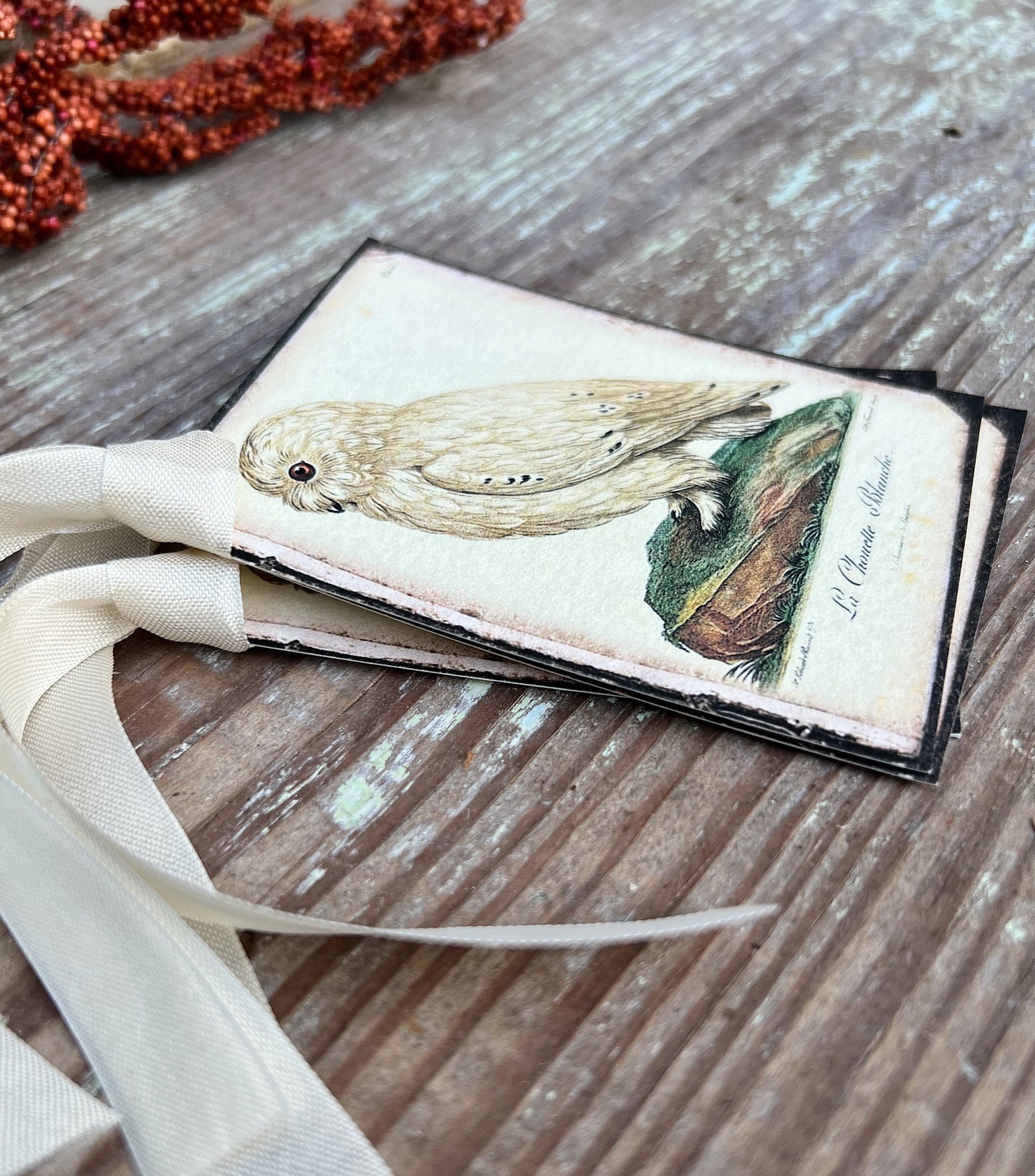 Halloween FALL WHITE OWL Gift Tags Vintage Farmhouse Decor Grungy Party Favor Card Tag