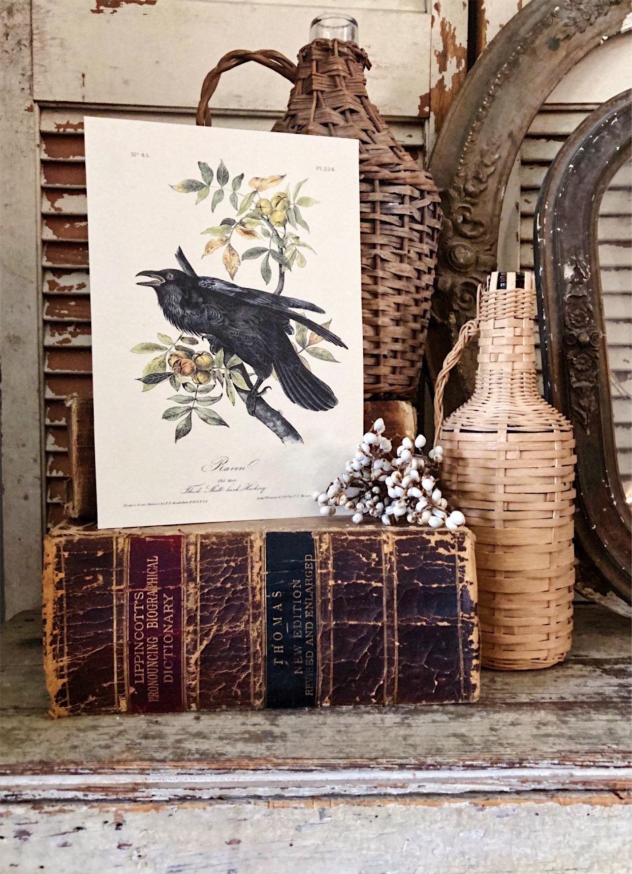 Vintage CROW on Branch Print Sign Wood Wall Art Sign Farmhouse Decor Page Print Raven Blackbird Natural Book History Fall Decor Halloween