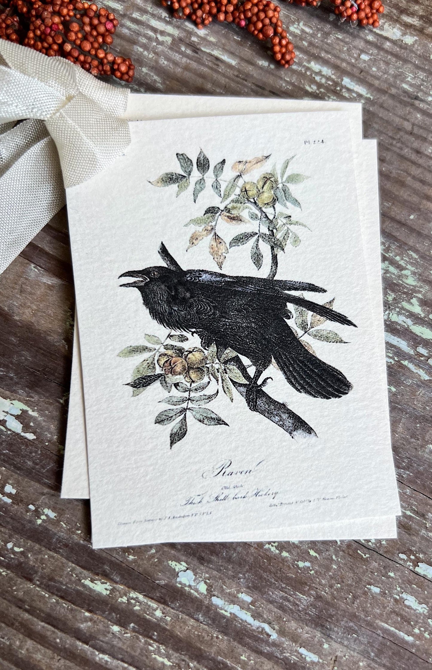 RAVEN CROW On Branch Gift Tags Vintage Farmhouse Decor Grungy Party Favor Card Tag Halloween FALL Botanical