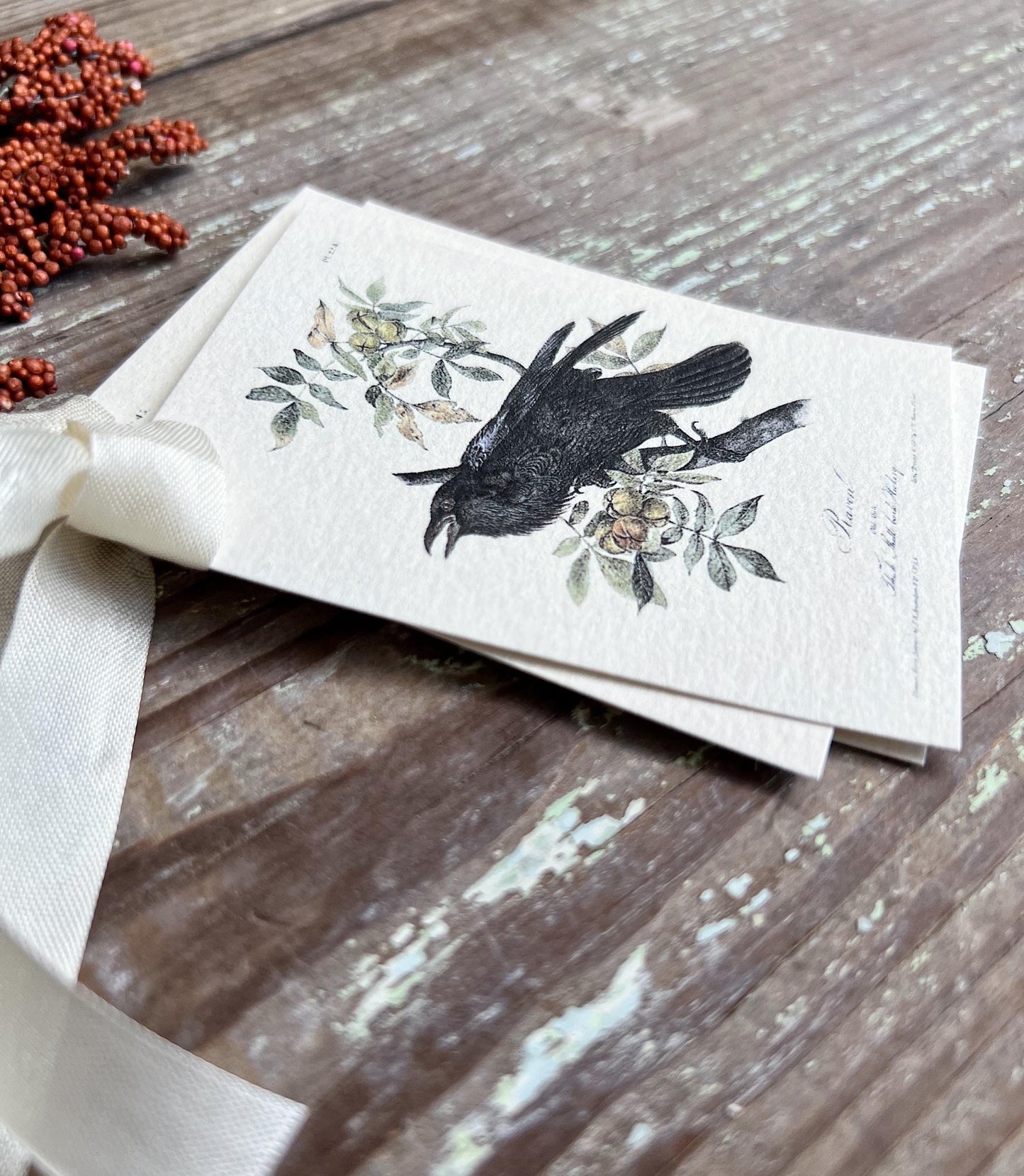 RAVEN CROW On Branch Gift Tags Vintage Farmhouse Decor Grungy Party Favor Card Tag Halloween FALL Botanical