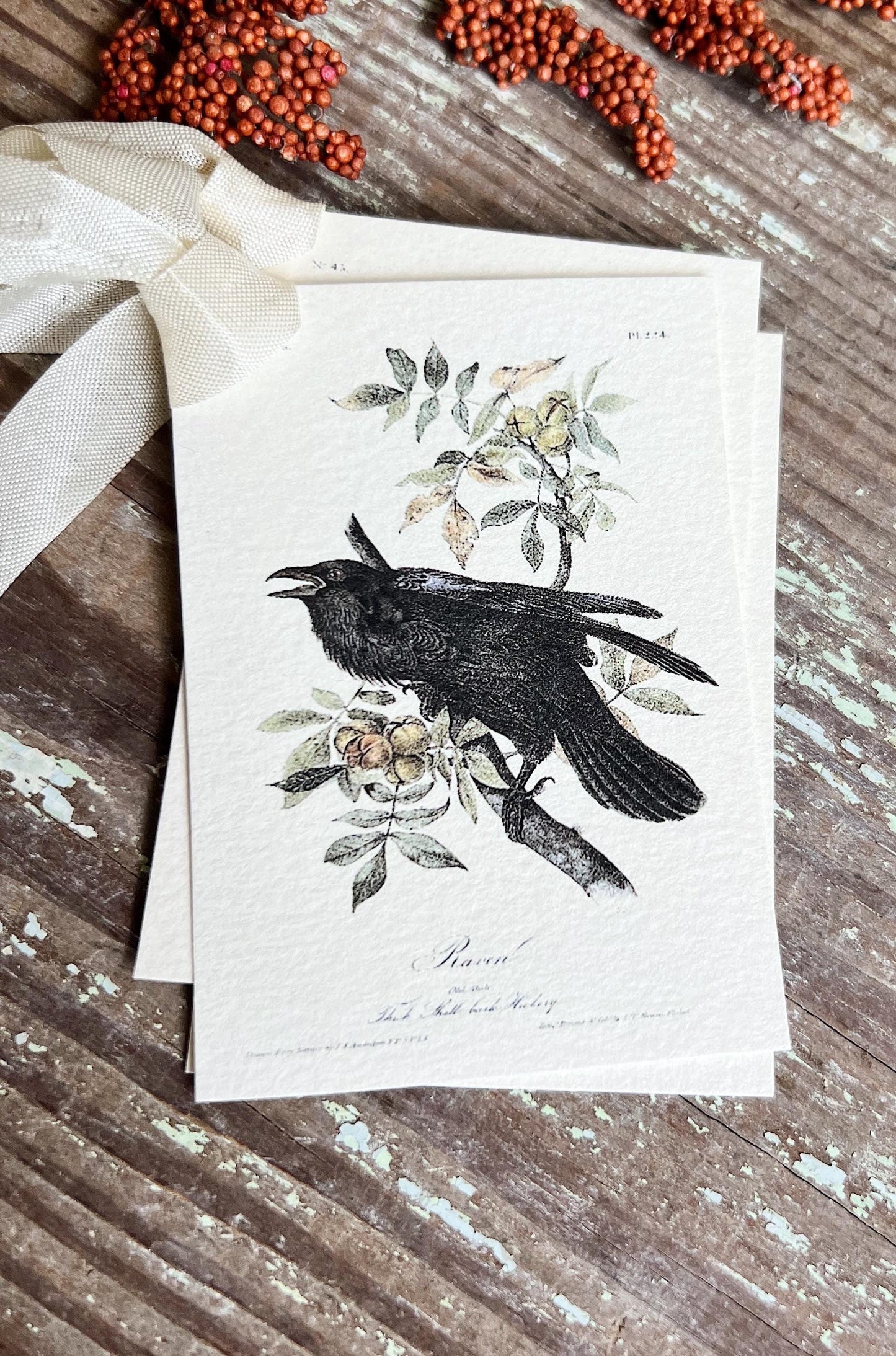RAVEN CROW On Branch Gift Tags Vintage Farmhouse Decor Grungy Party Favor Card Tag Halloween FALL Botanical