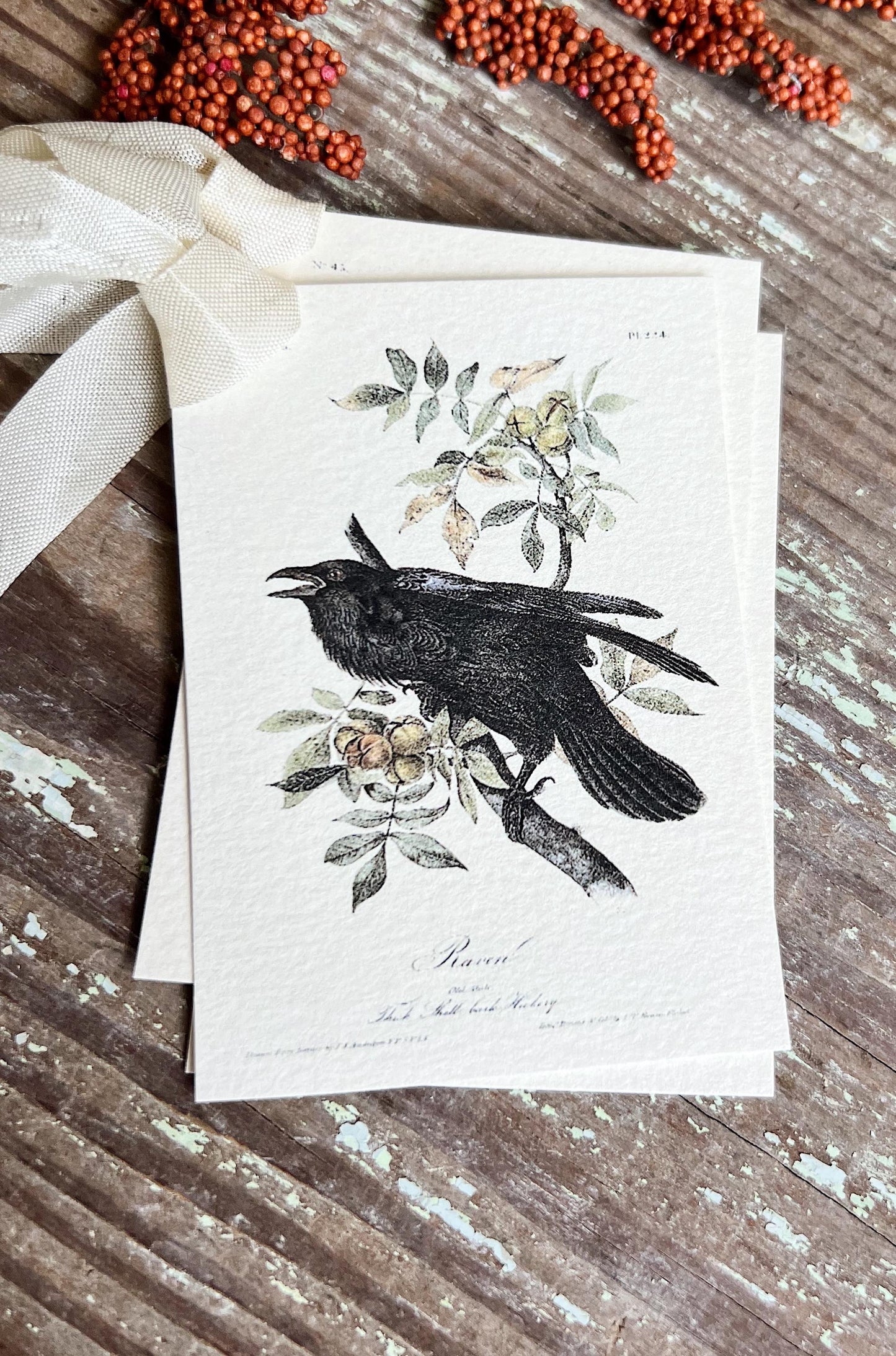 Raven Botanical Gift Tags, Vintage Style Cardstock, Set of 8