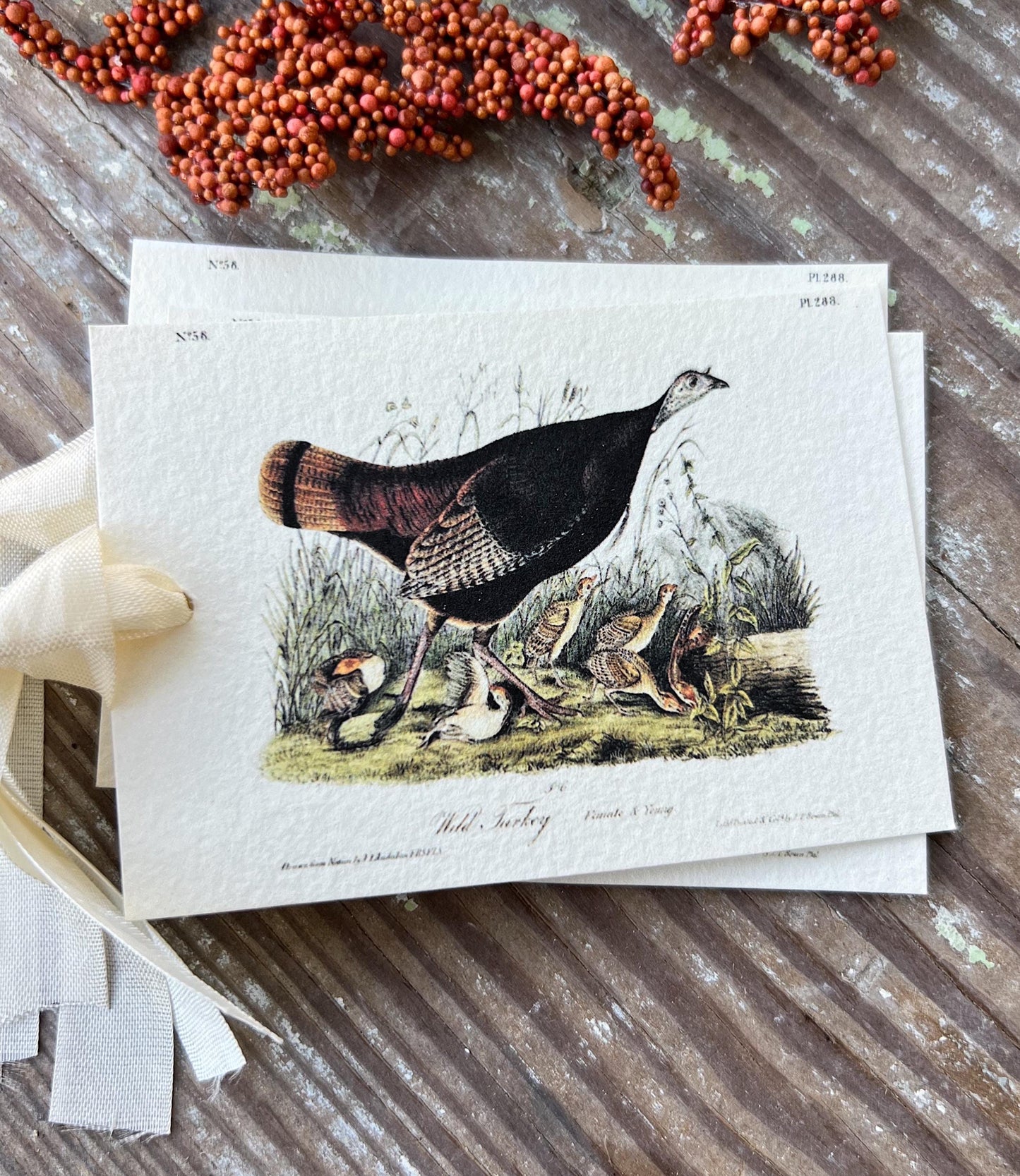 TURKEY Female Gift Tags Vintage Farmhouse Decor Grungy Party Favor Card Tag Halloween FALL Botanical Tablescape