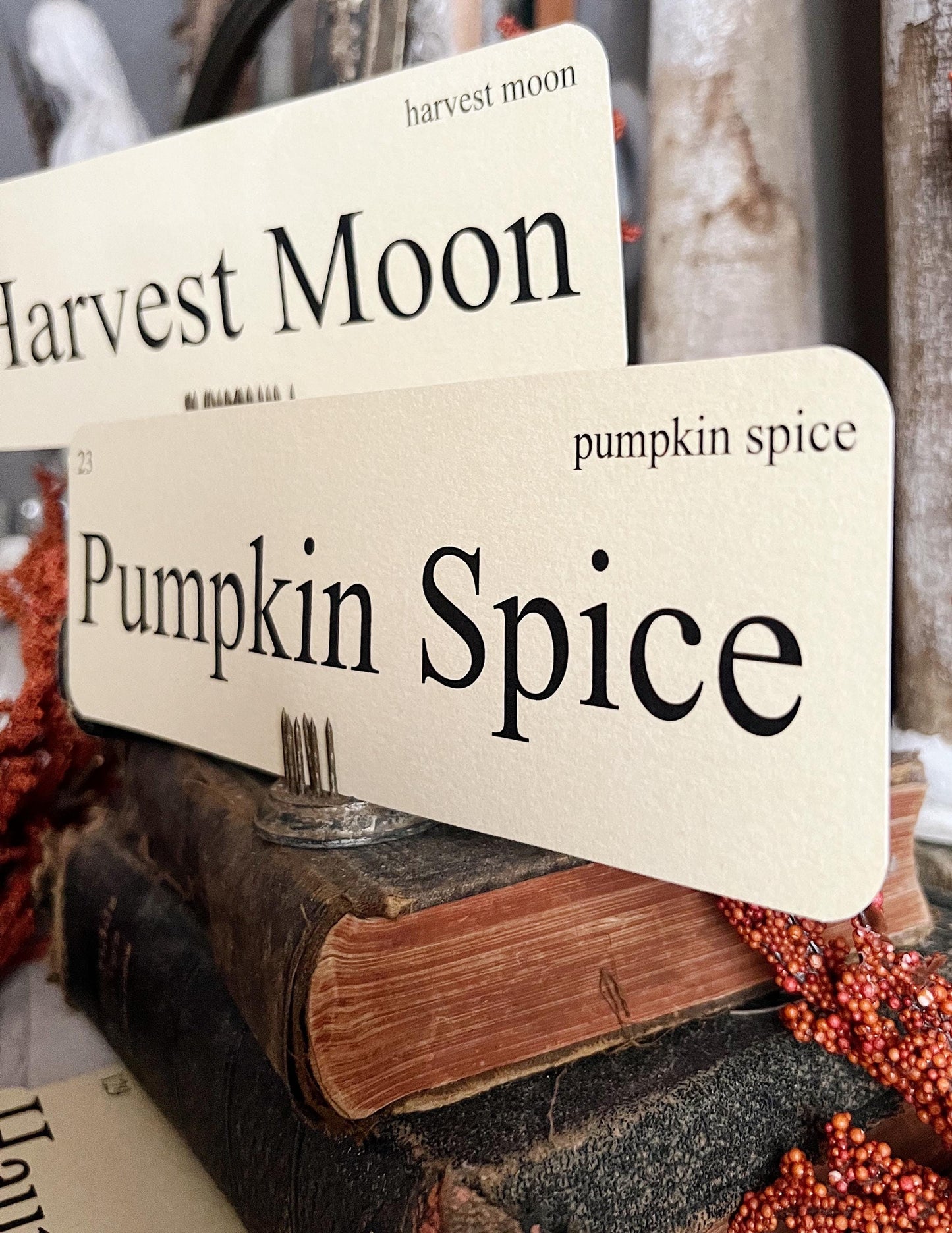 FALL FESTIVAL Flash Cards LARGE Vintage Inspired Word Flashcard Set Of 8 Farmhouse Decor Corn Maze Hayrides Pumpkin Patch Haunted House