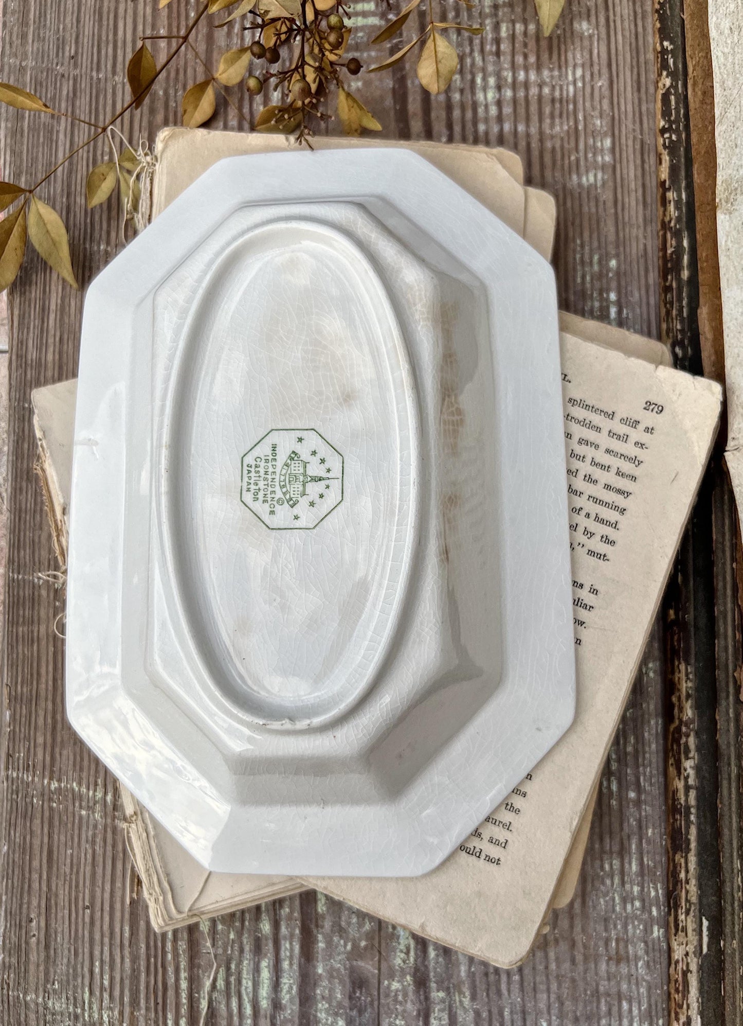Vintage White Ironstone Divided Oval Bowl Serving Dish INDEPENDENCE Farmhouse Decor GRUNGY Crazing Stained