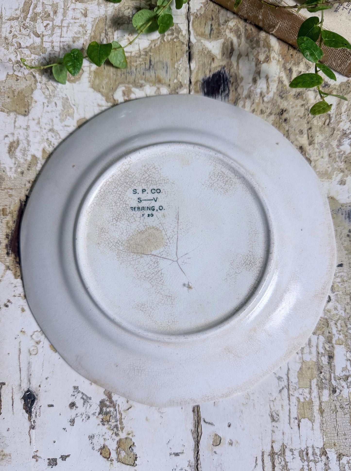 Antique BLUEBIRD Ironstone Plate Farmhouse Decor Crazing Stained