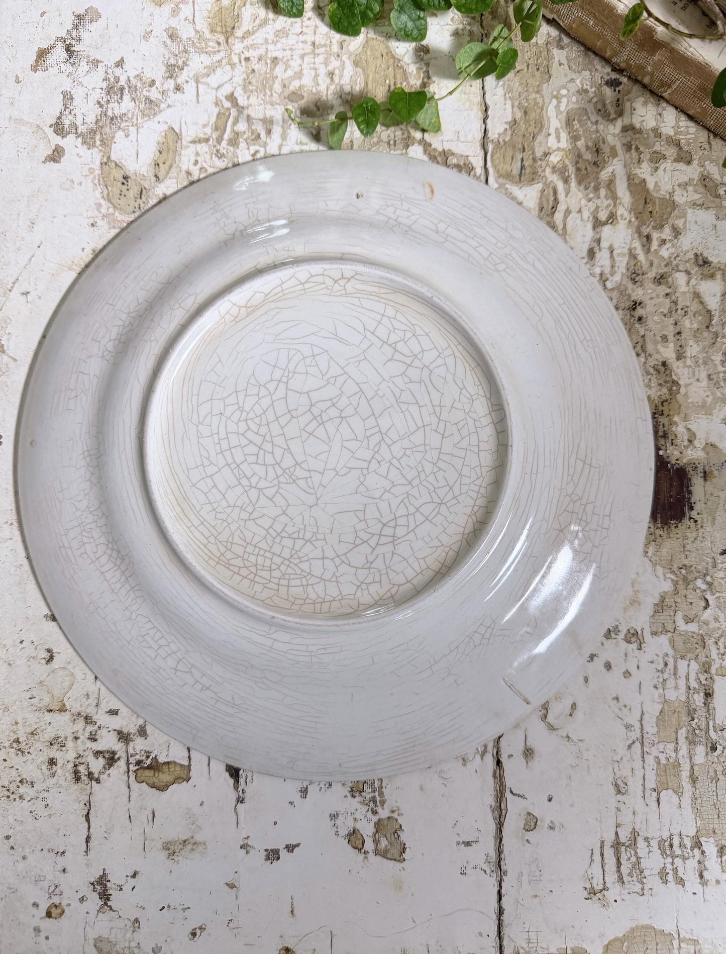 Antique BLUEBIRD Ironstone Dinner Plate Farmhouse Decor Crazing Stained MONTEL Mount Clemens