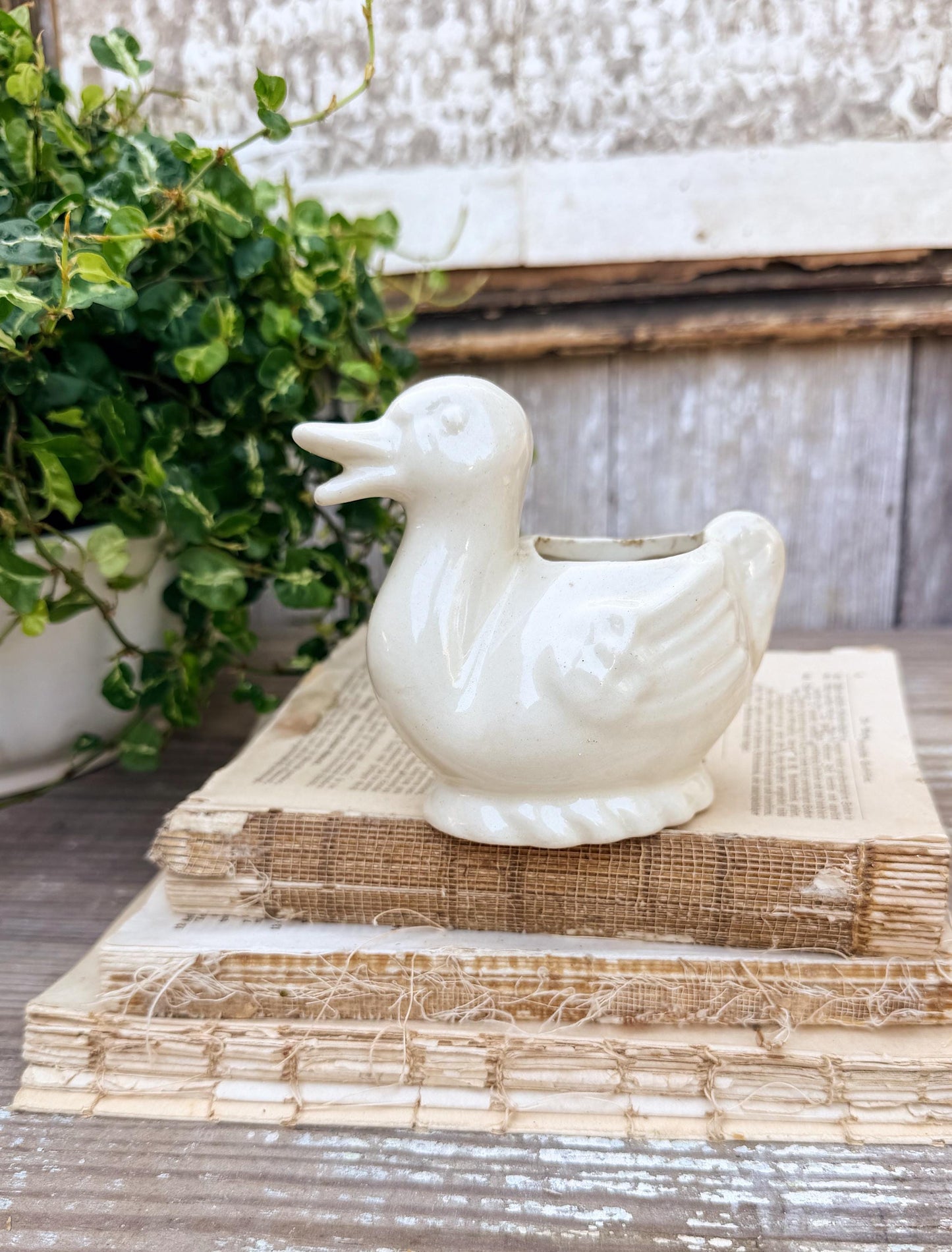 Vintage Ceramic DUCK Flower Pot USA Container Farmhouse Decor GARDEN Decor Ironstone