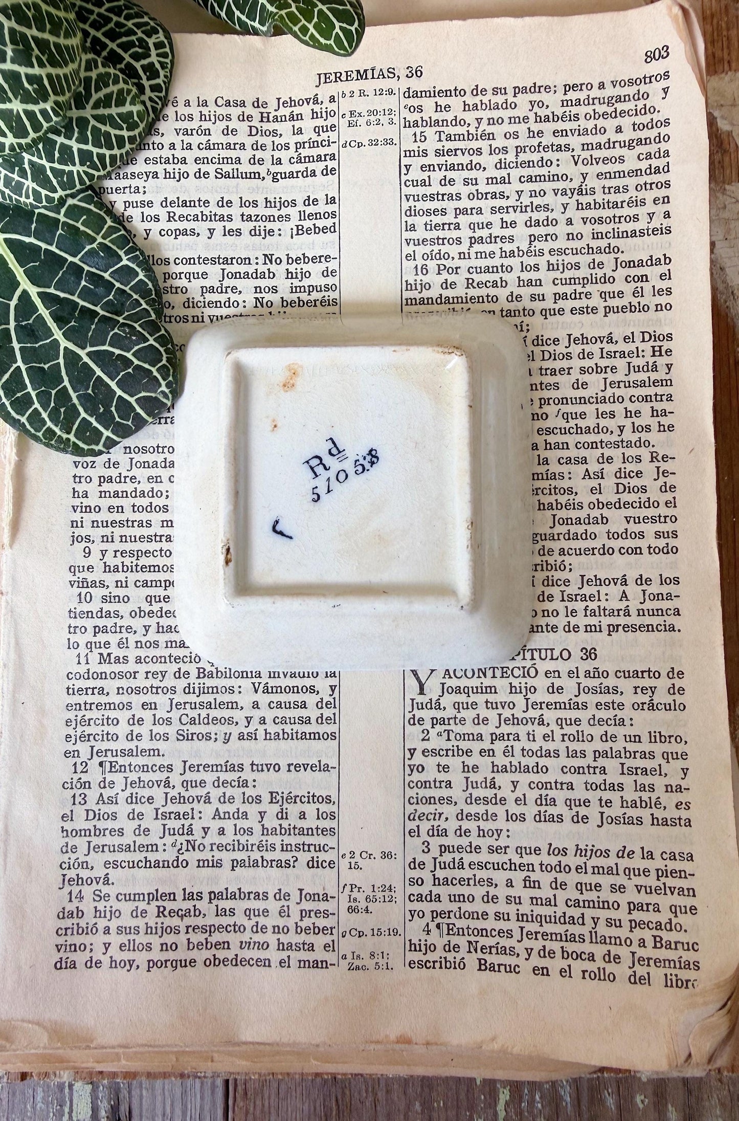 Antique White Ironstone Flow Blue SQUARE Butter Pat Farmhouse Decor Stained Grungy Crazing GRINDLEY