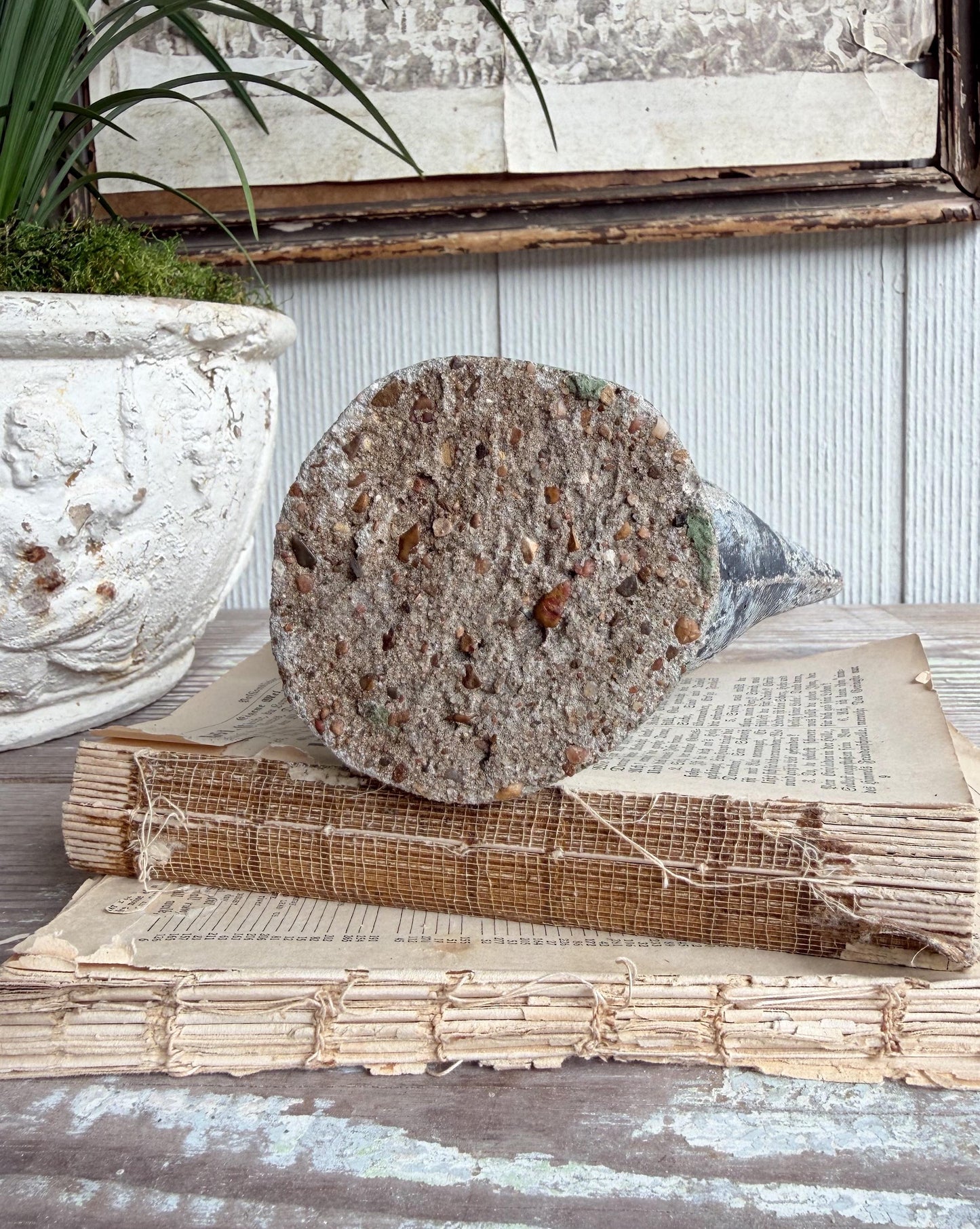 Vintage Concrete Bird Statue, Chippy Painted Garden Art, Farmhouse