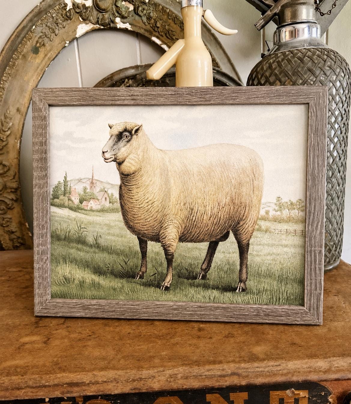 Vintage FRAMED SHEEP Wood Sign Primitive Farmhouse Decor Illustration Book Page Wall Art Print Pasture Farm Antique Image