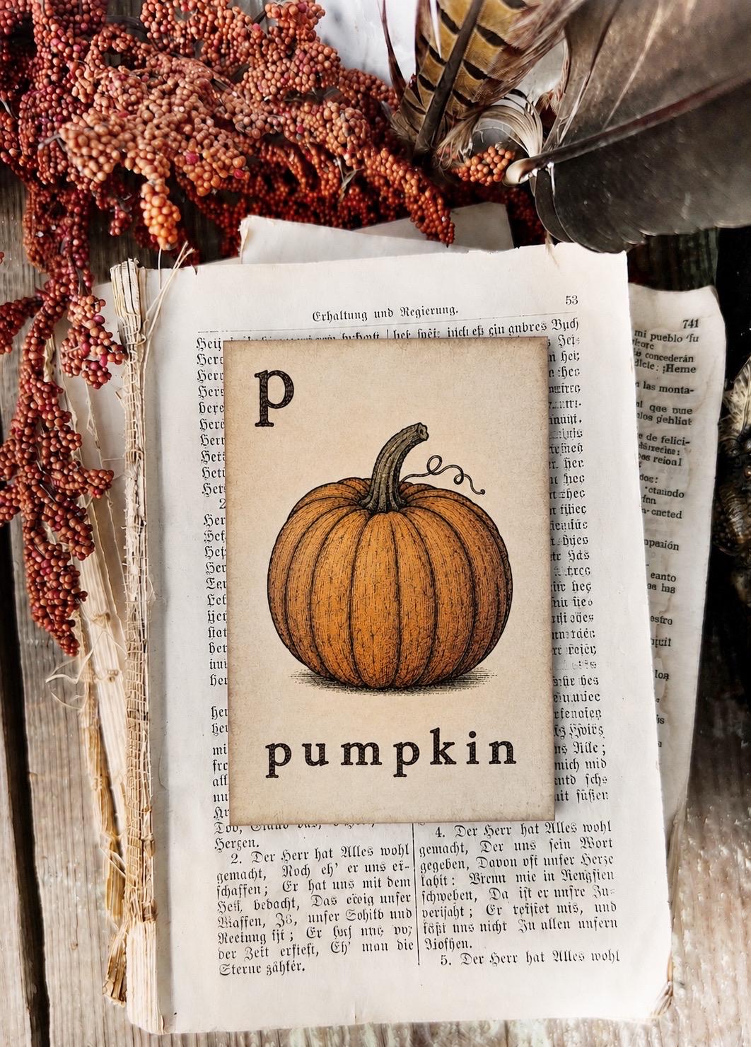 PUMPKIN Flash Card Vintage Farmhouse Decor Fall Halloween Autumn Party