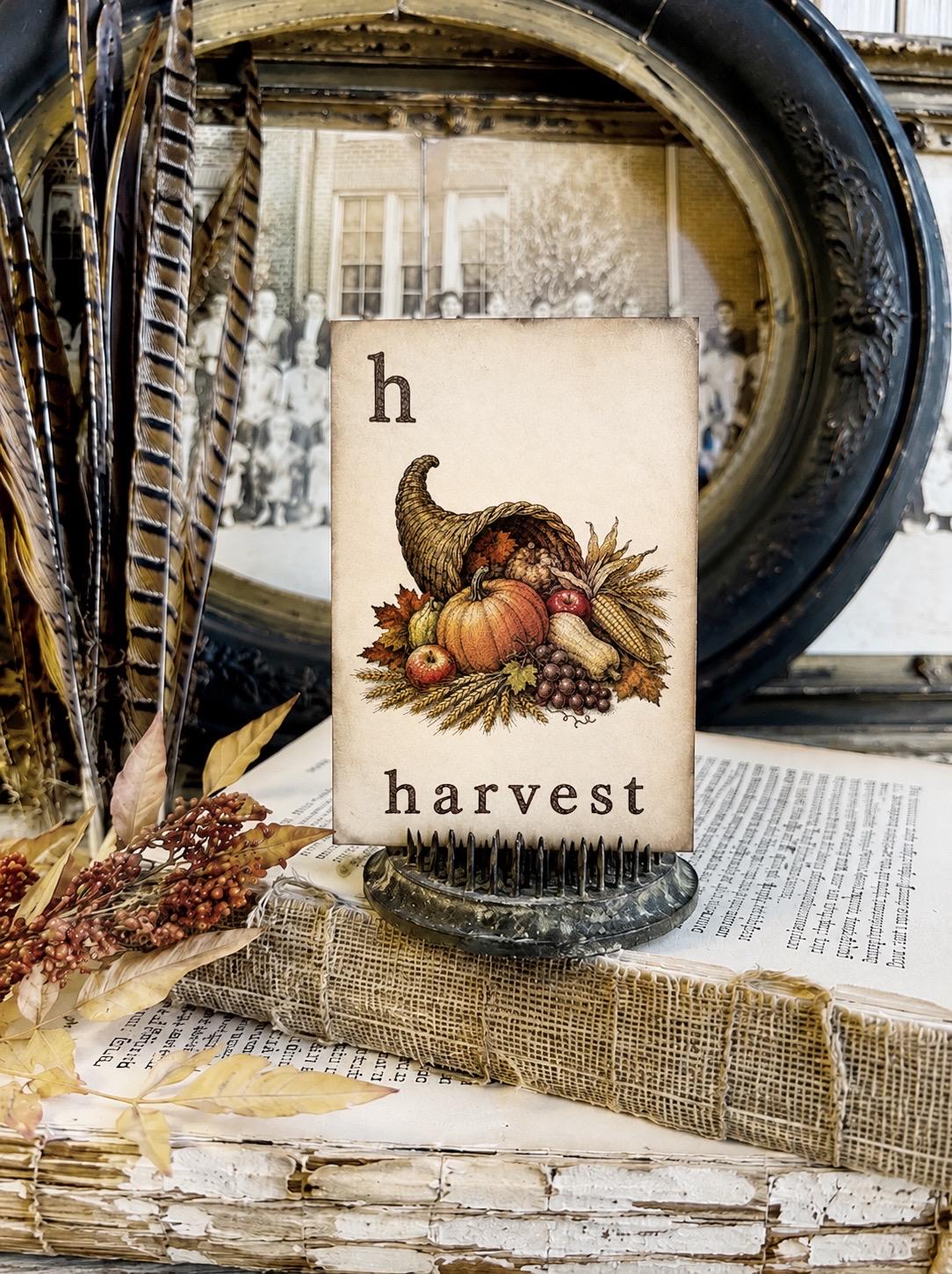 HARVEST Flash Card Vintage Farmhouse Fall Halloween Autumn Decor cornucopia